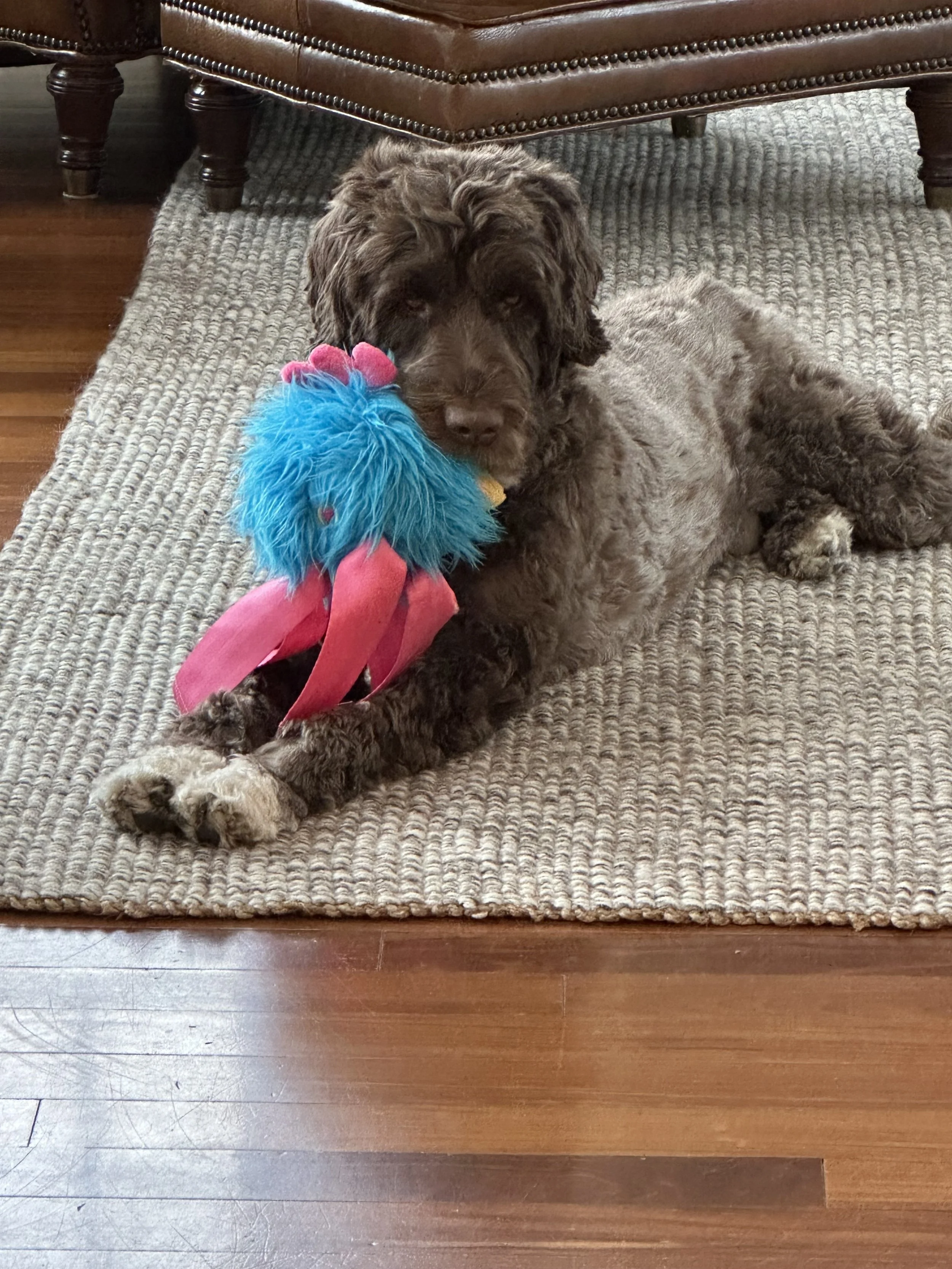 IMG_1875.jpeg