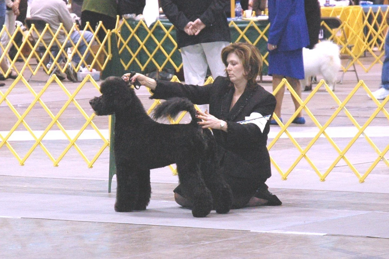 breezy with suzy open saturday 8 chicago 05.JPG