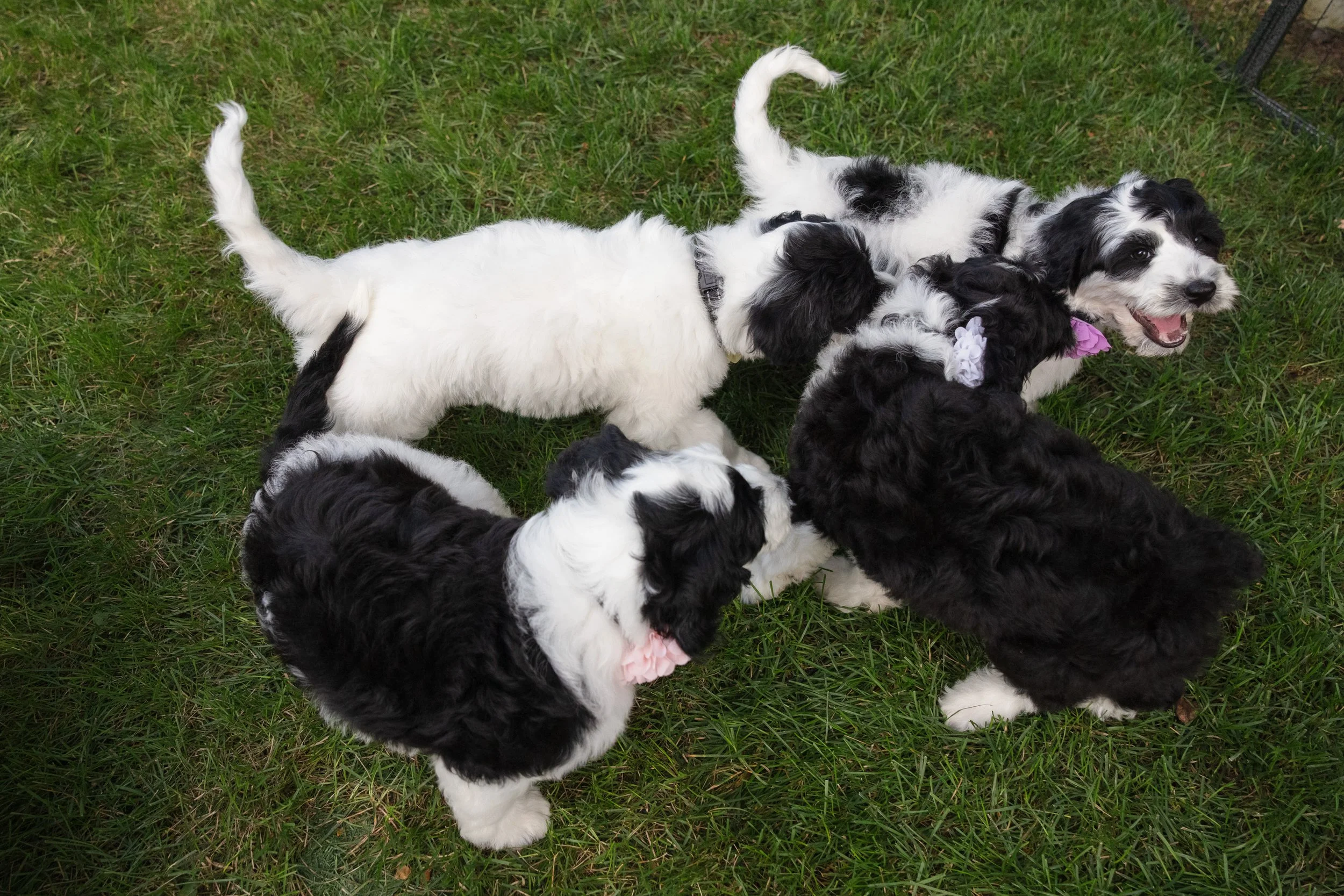 KissLitter-176.jpg