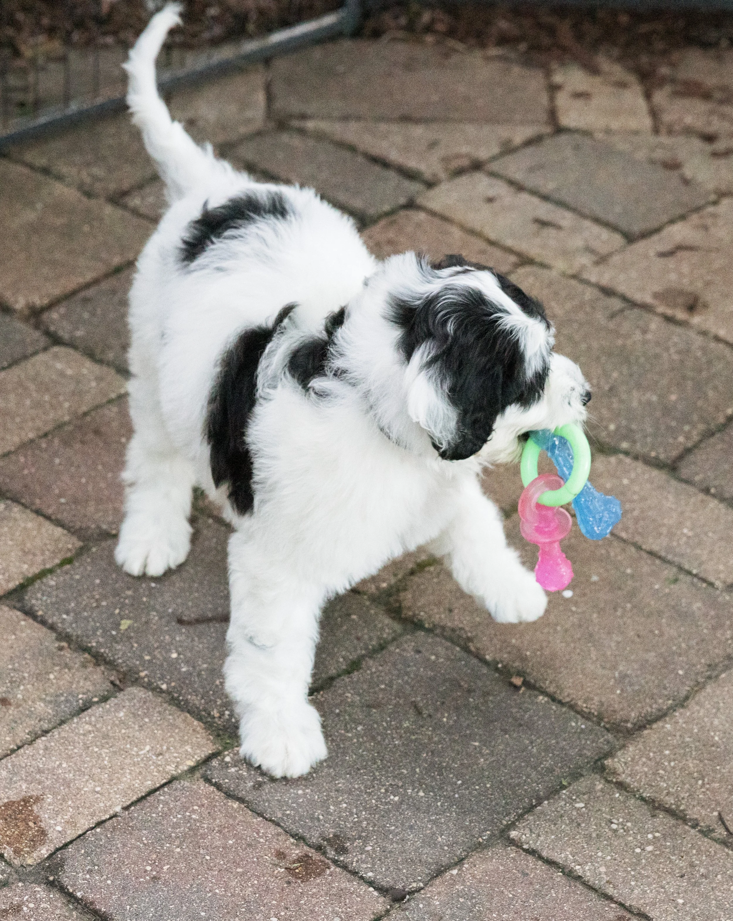 KissLitter-193.jpg