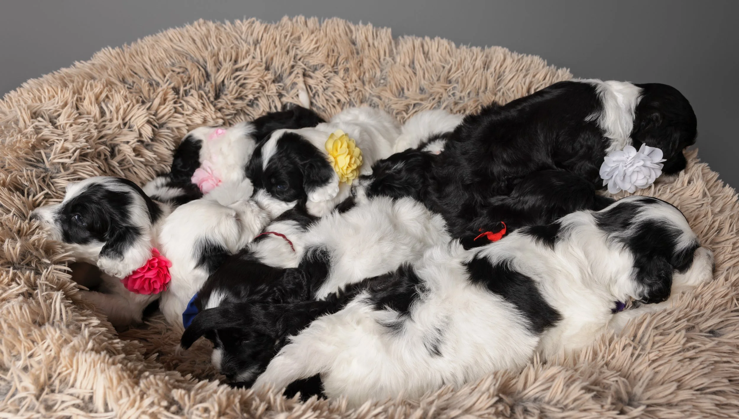 KissLitter-063.jpg