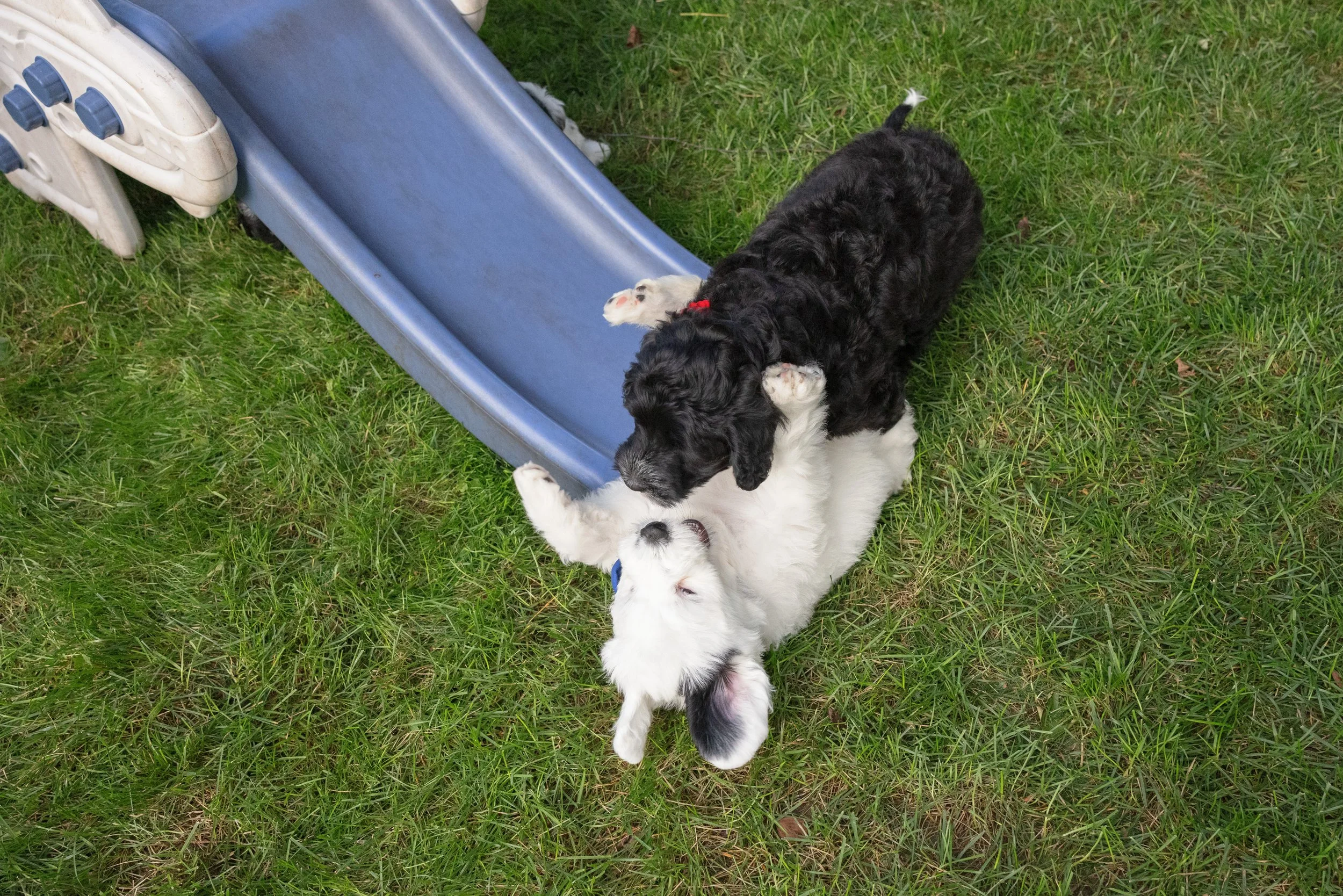 KissLitter-173.jpg
