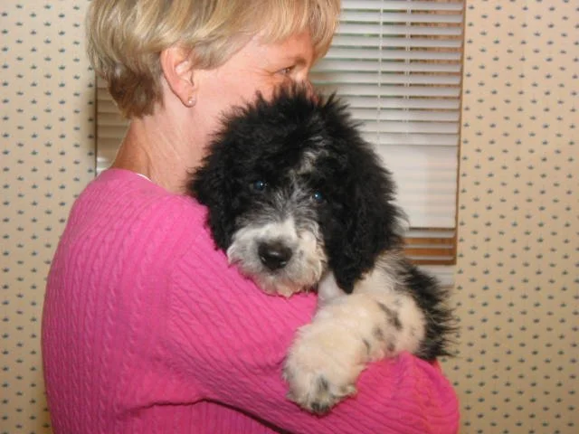 Sarah and baby tugboat.JPG