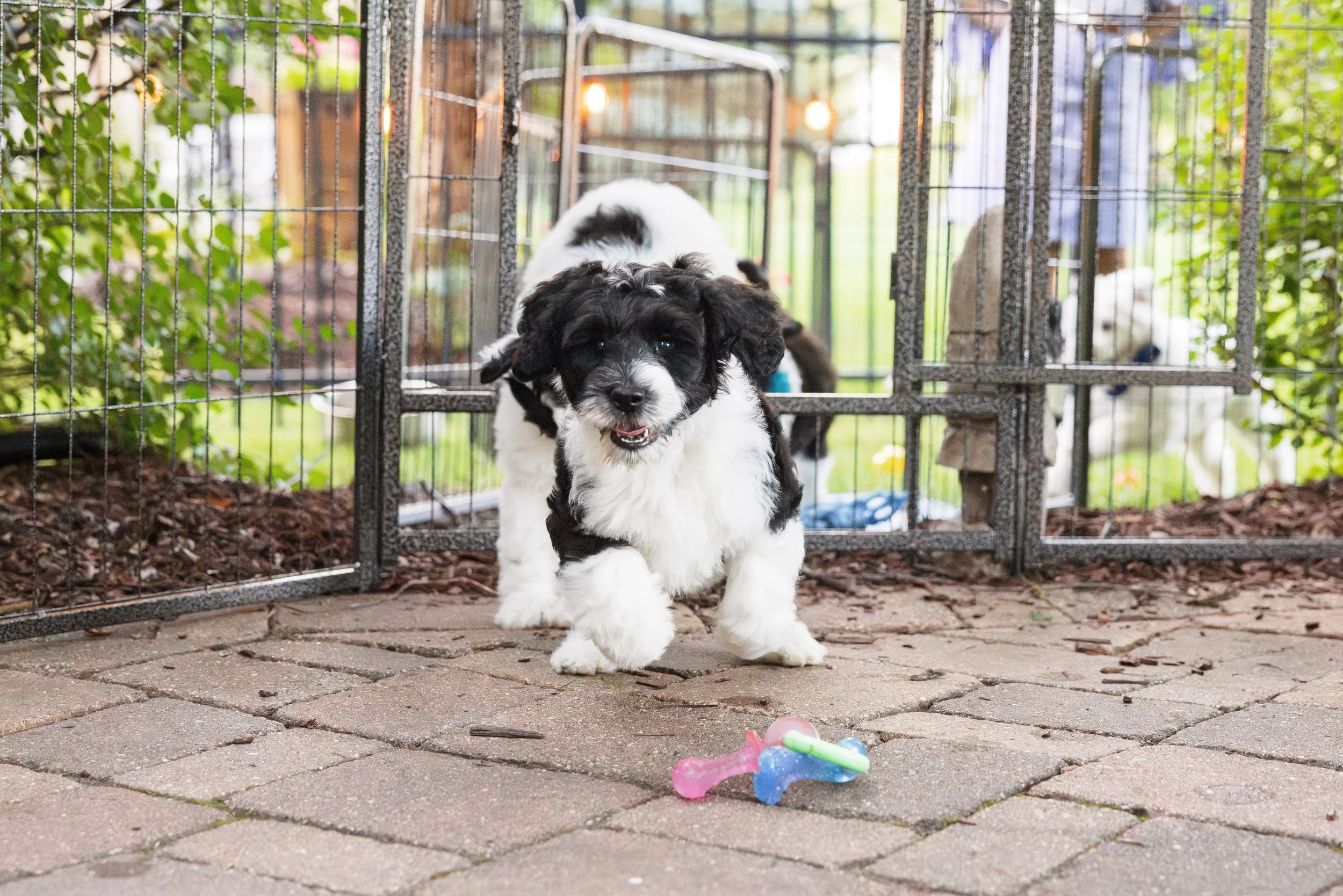 KissLitter-195.jpg