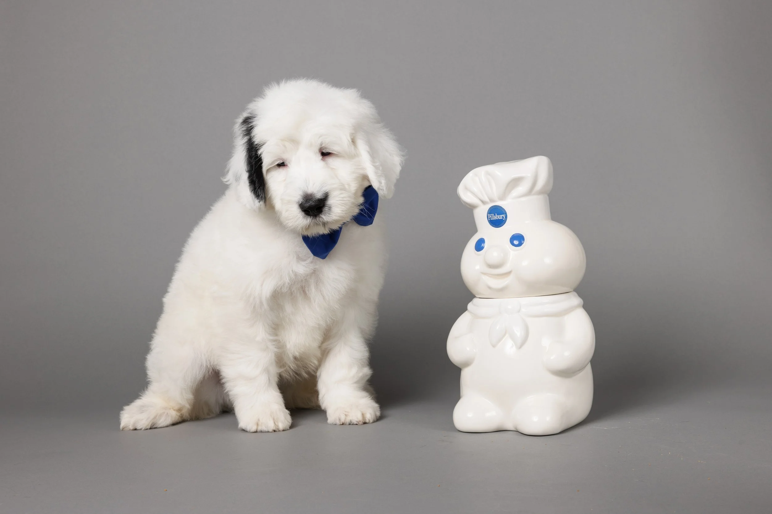 070-KissLitter9wks.jpg