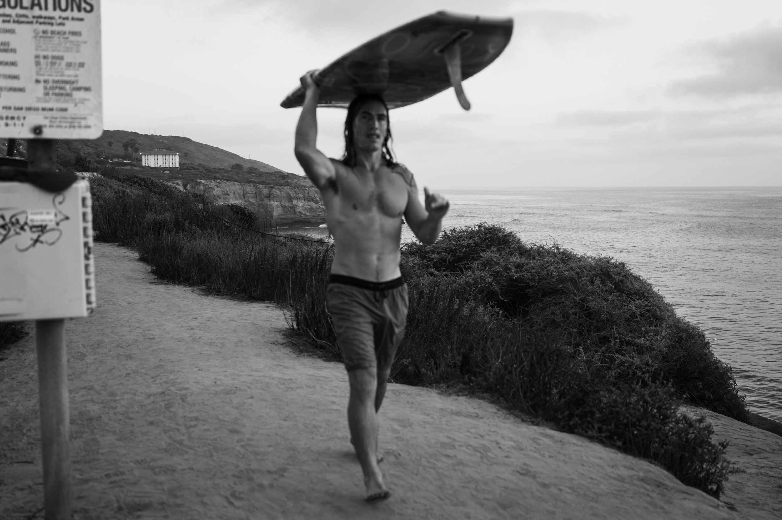 Surf's Up
