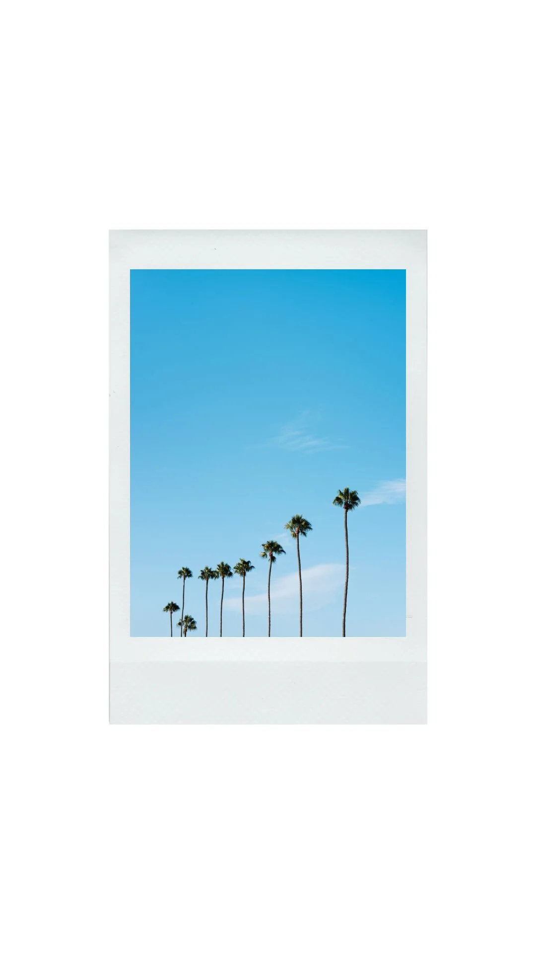 Paradise instax.jpg