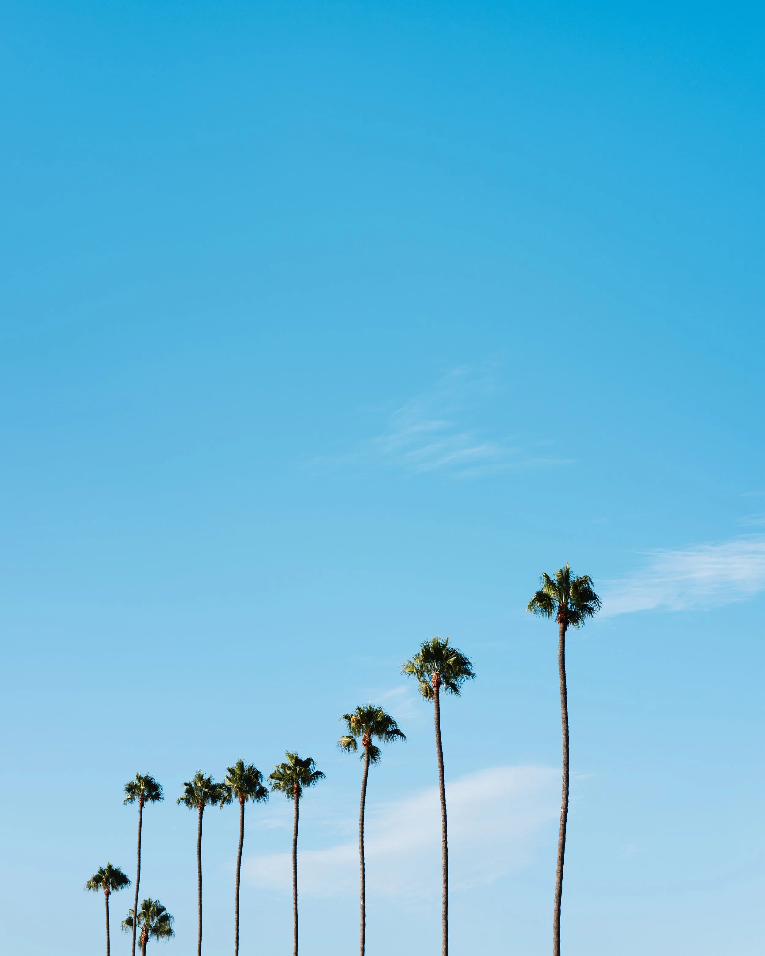 Paradise