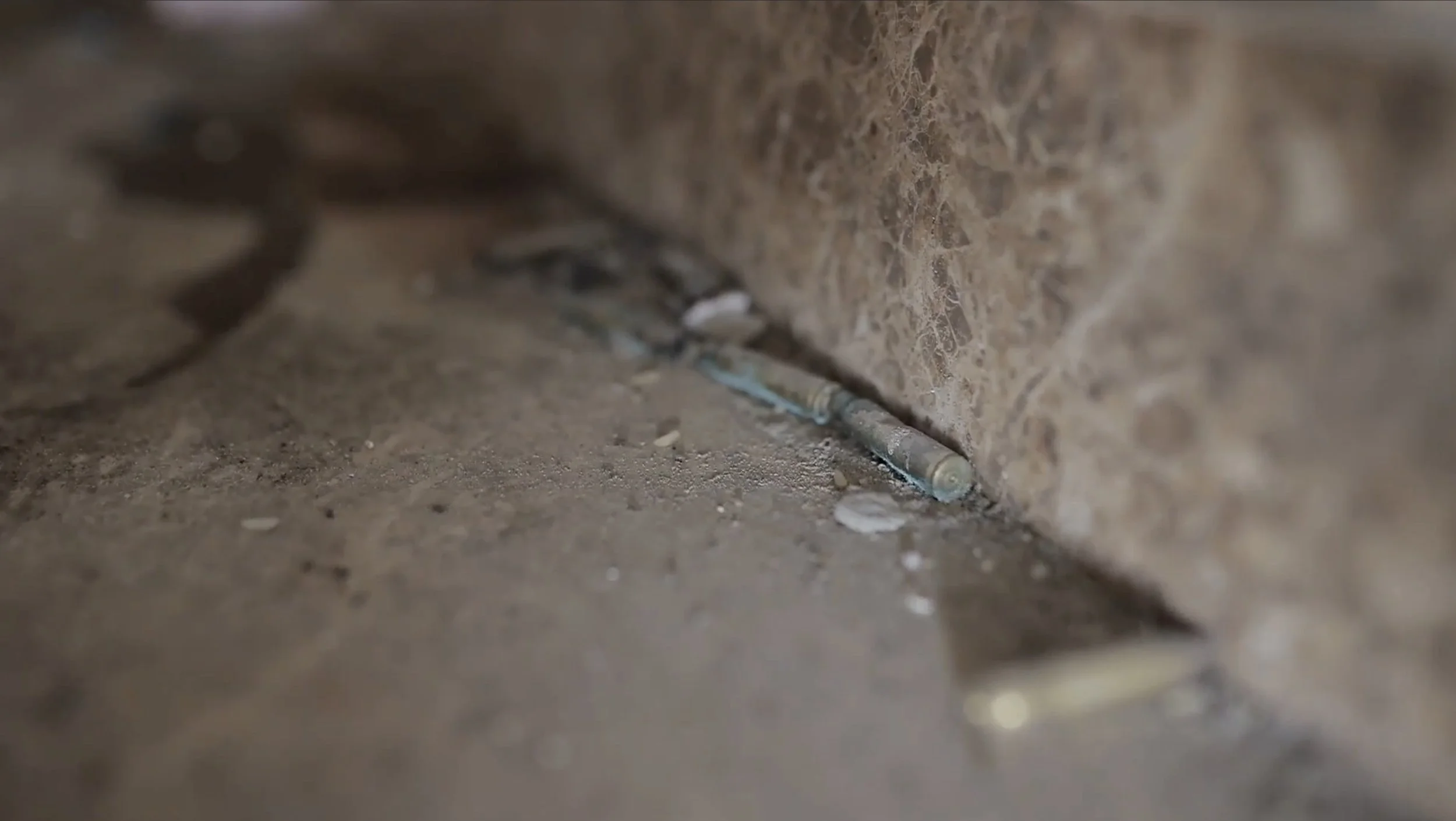 “They Didn’t Spare Anyone”: The Story of an Israeli Massacre in Gaza