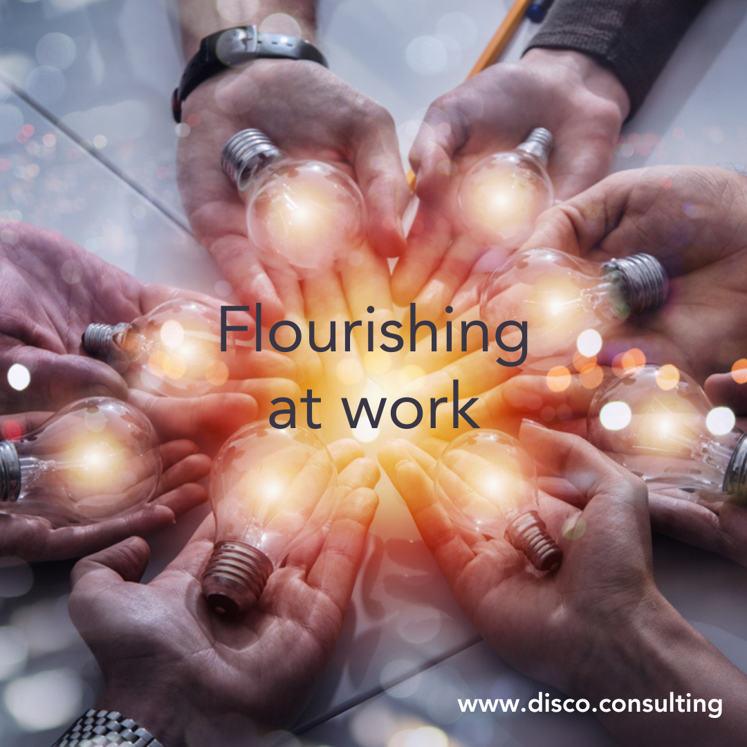 Flourishing at Work: A Leader’s Guide to Building Curious, High-Performing Teams (part 2)