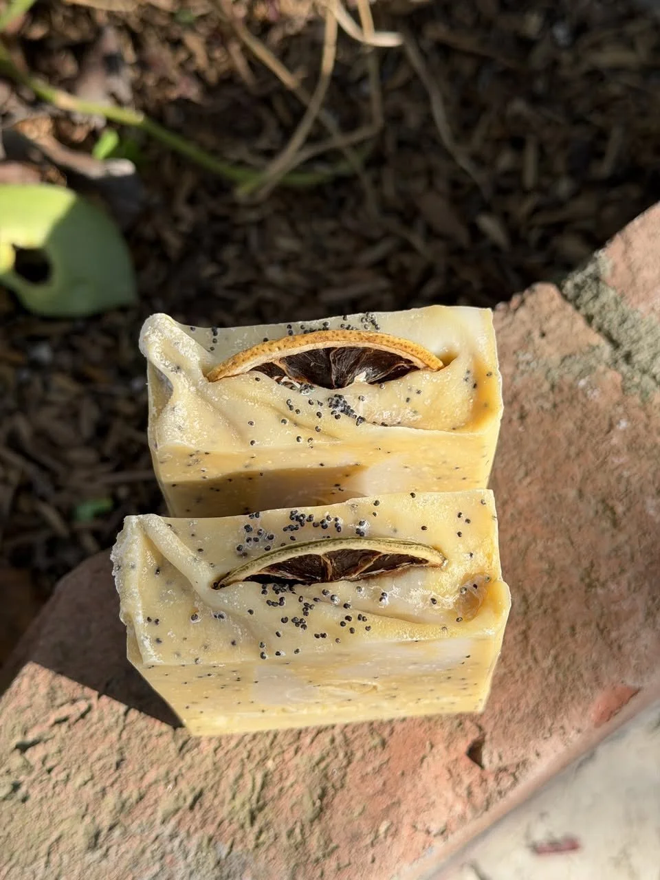 Lemon Poppyseed Top.jpg