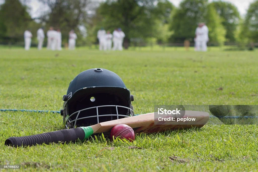 Cricket 2.jpg
