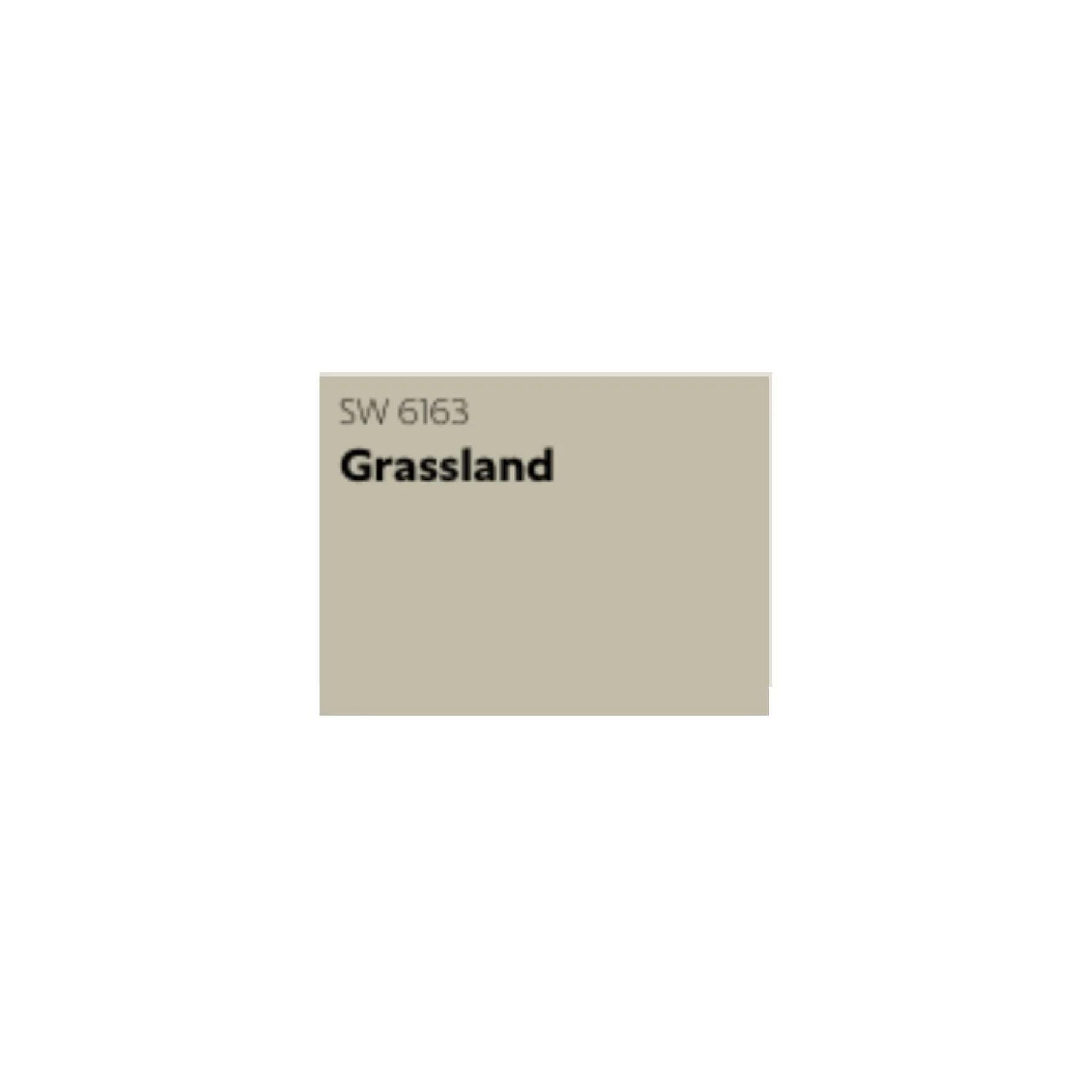 SHERWIN WILLIAMS -  GRASSLAND (2nd option)