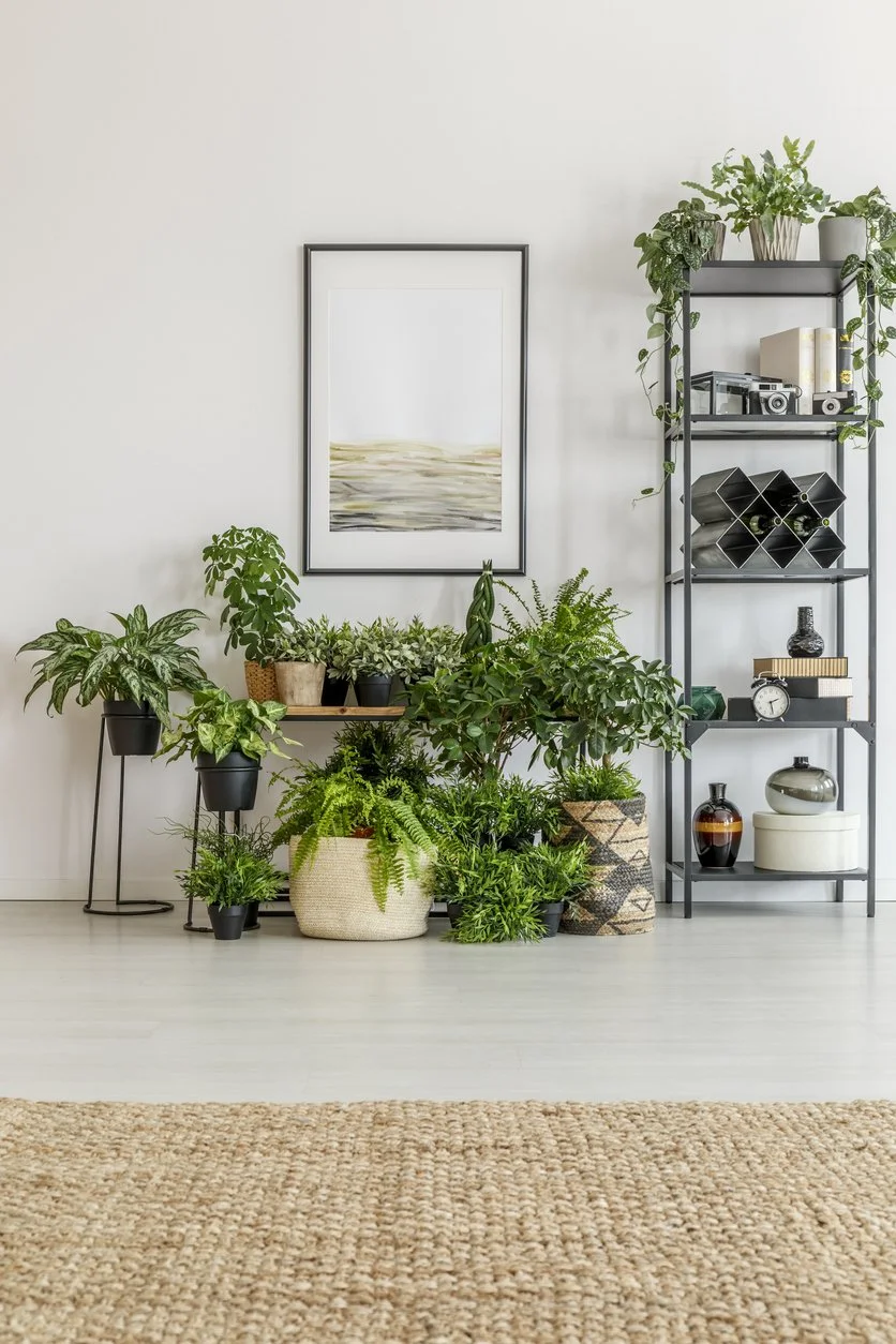 iStock-872049372.jpg