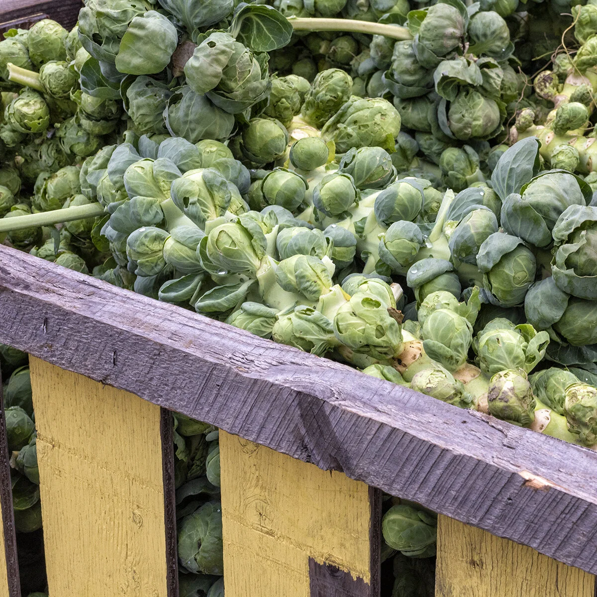 BrusselsSprouts_PCG_4699.jpg