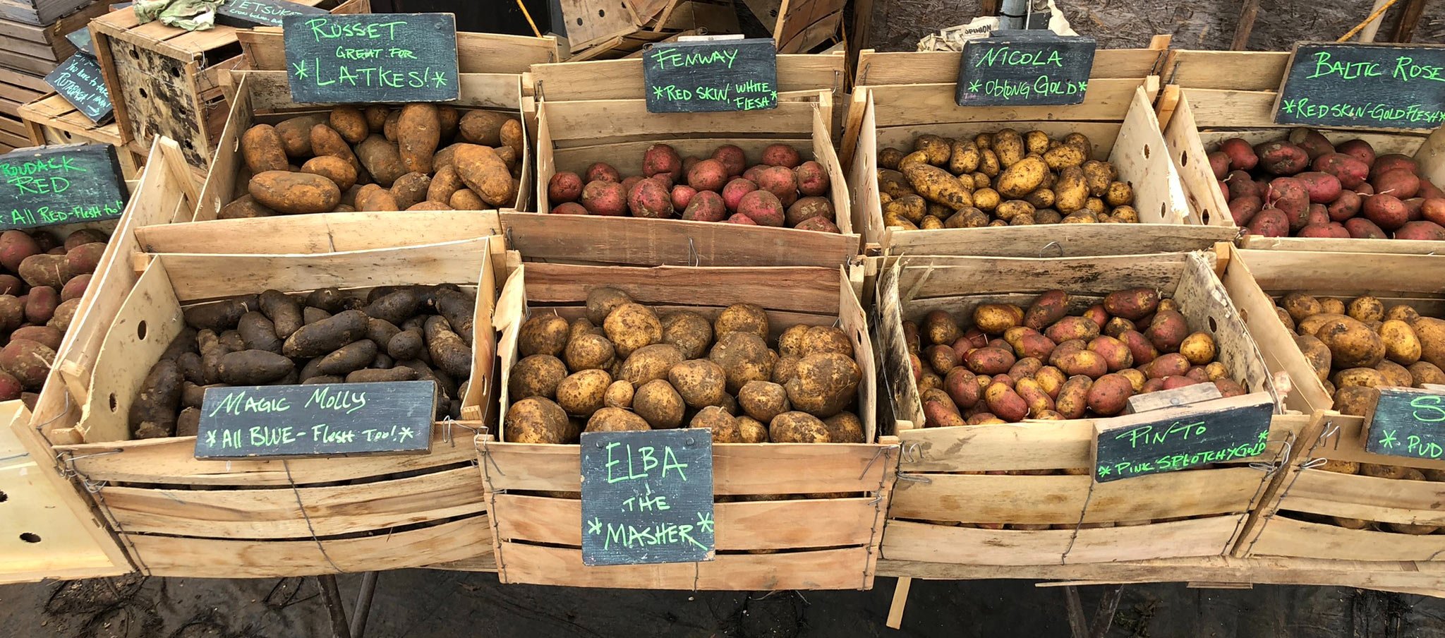 IMG_3411_Potatoes.jpg