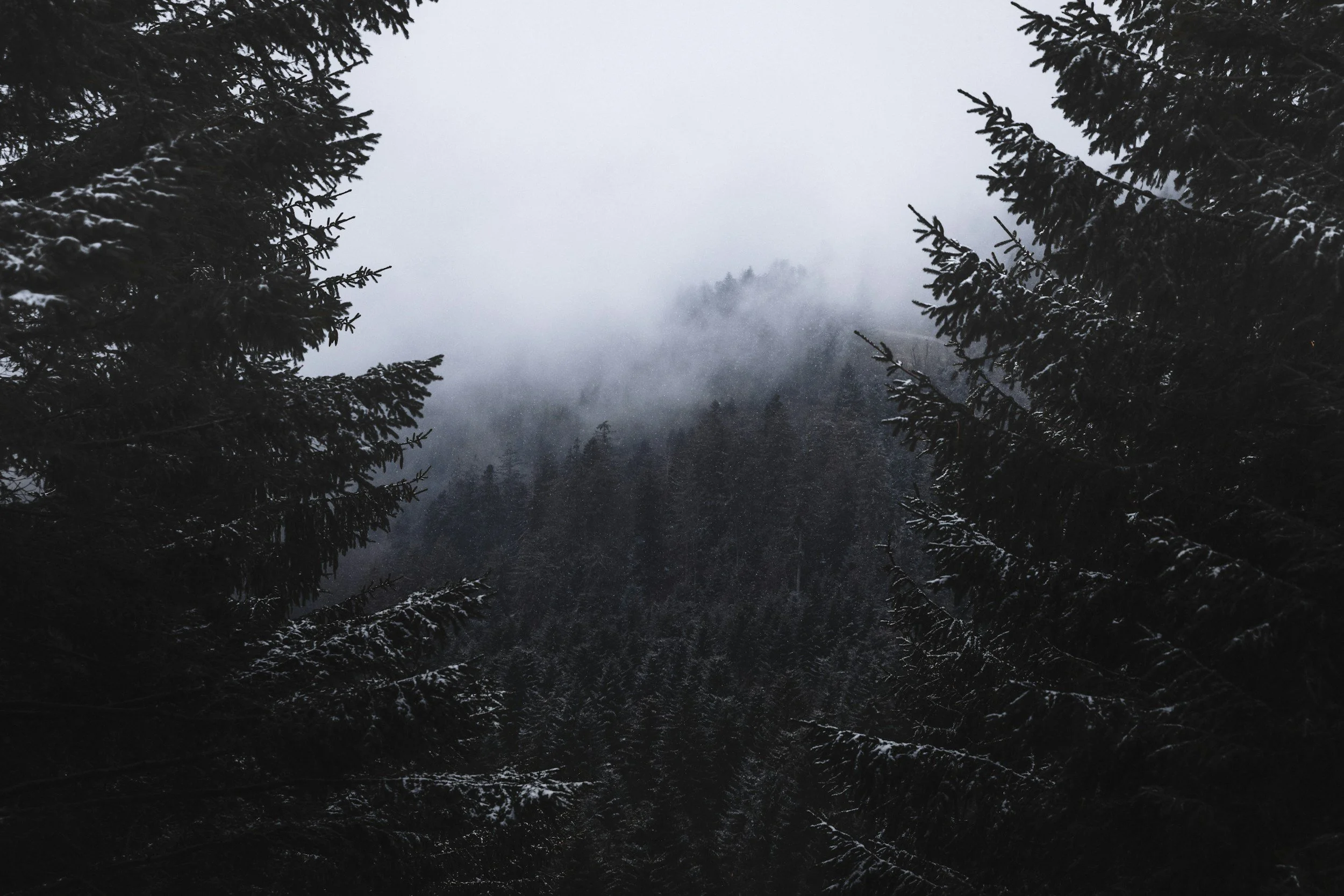 unsplash-image-eDfb2vObvvs.jpg