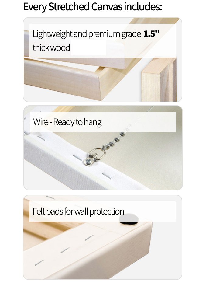 canvass_features.jpg