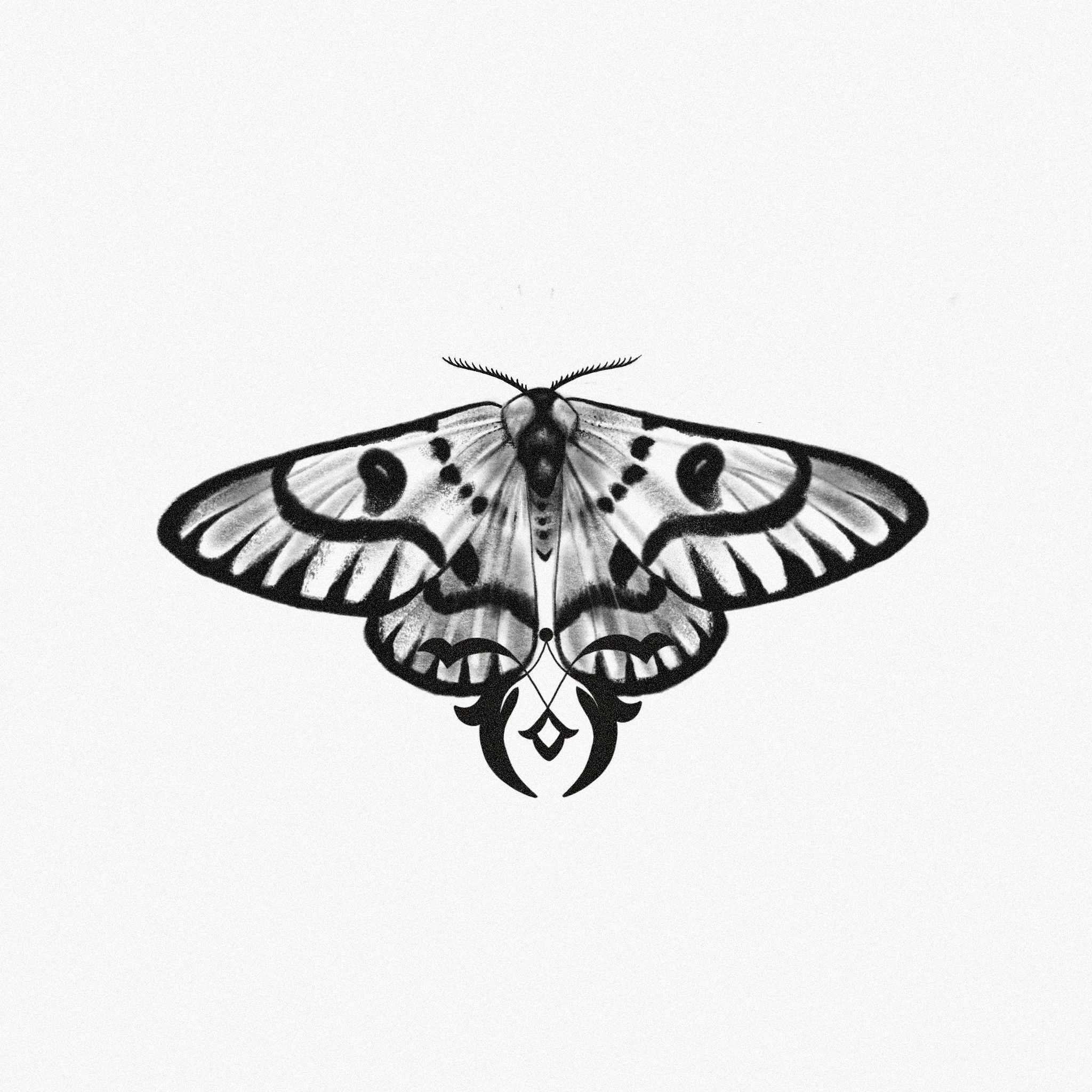 Black and white illustration of a butterfly with detailed wings