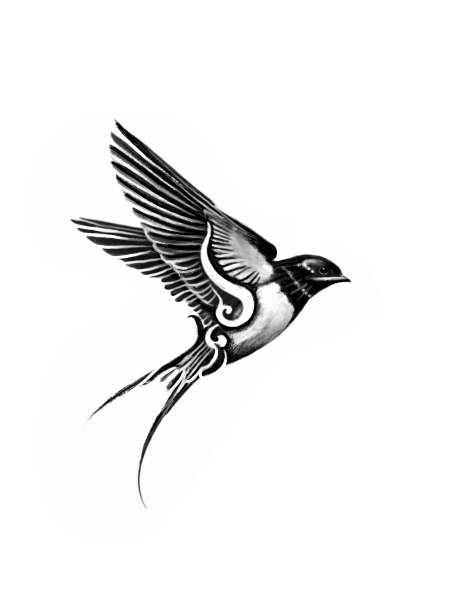Black and white illustration of a bird in flight with detailed feathers and long tail feathers.