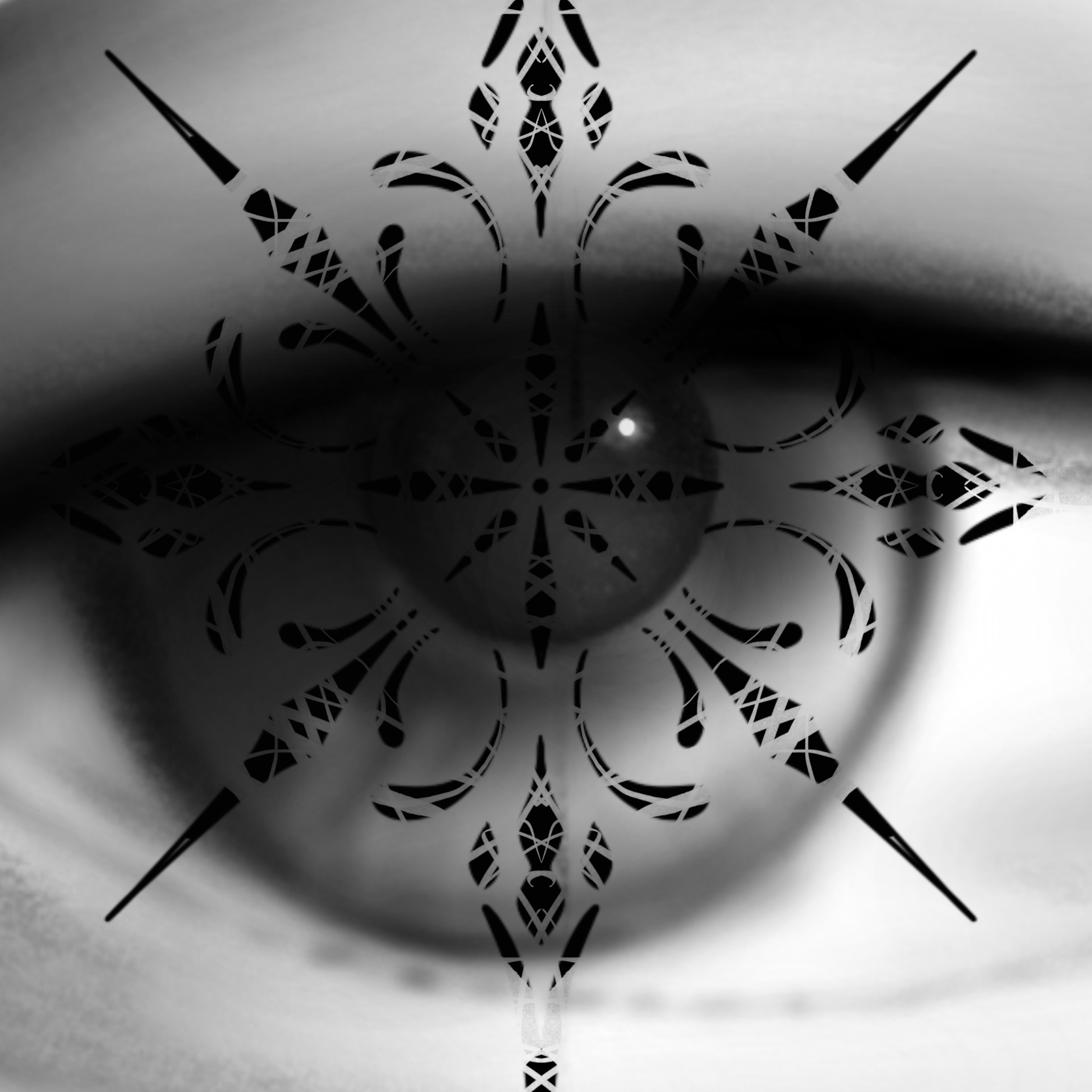 Untitled_Artwork 30.png