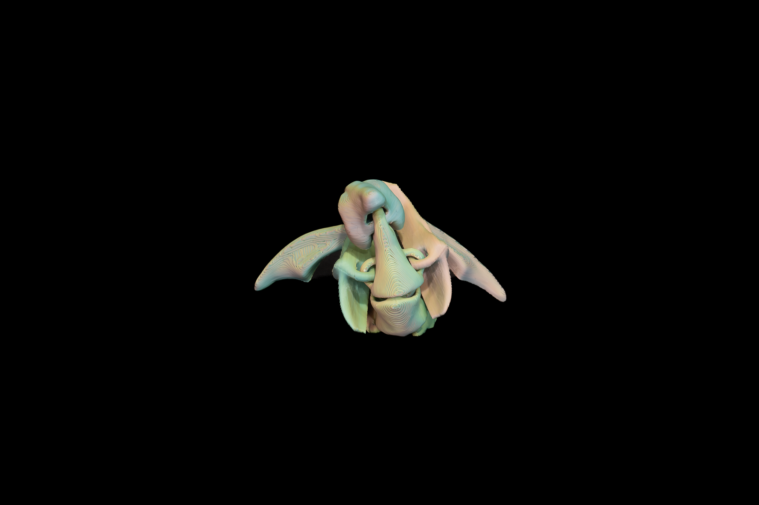 Multicolored Pterodactyl  (3 of 4).png