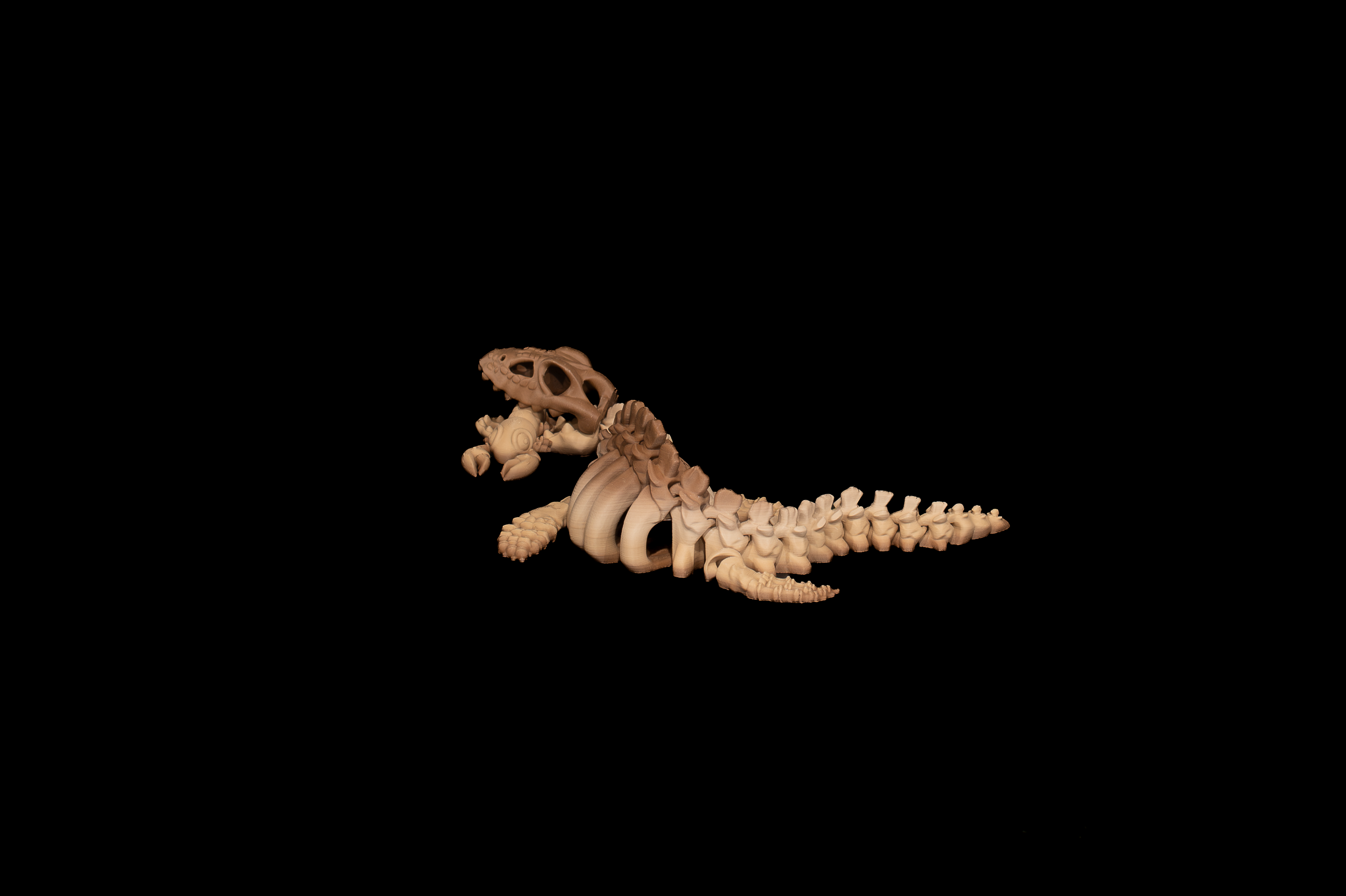 Skeleton Plesiosaurus (3 of 4).png