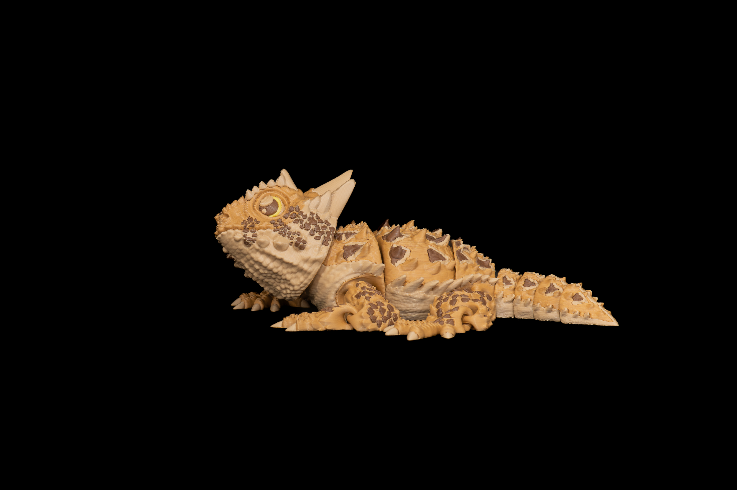 Horned Lizard (2 of 3).png