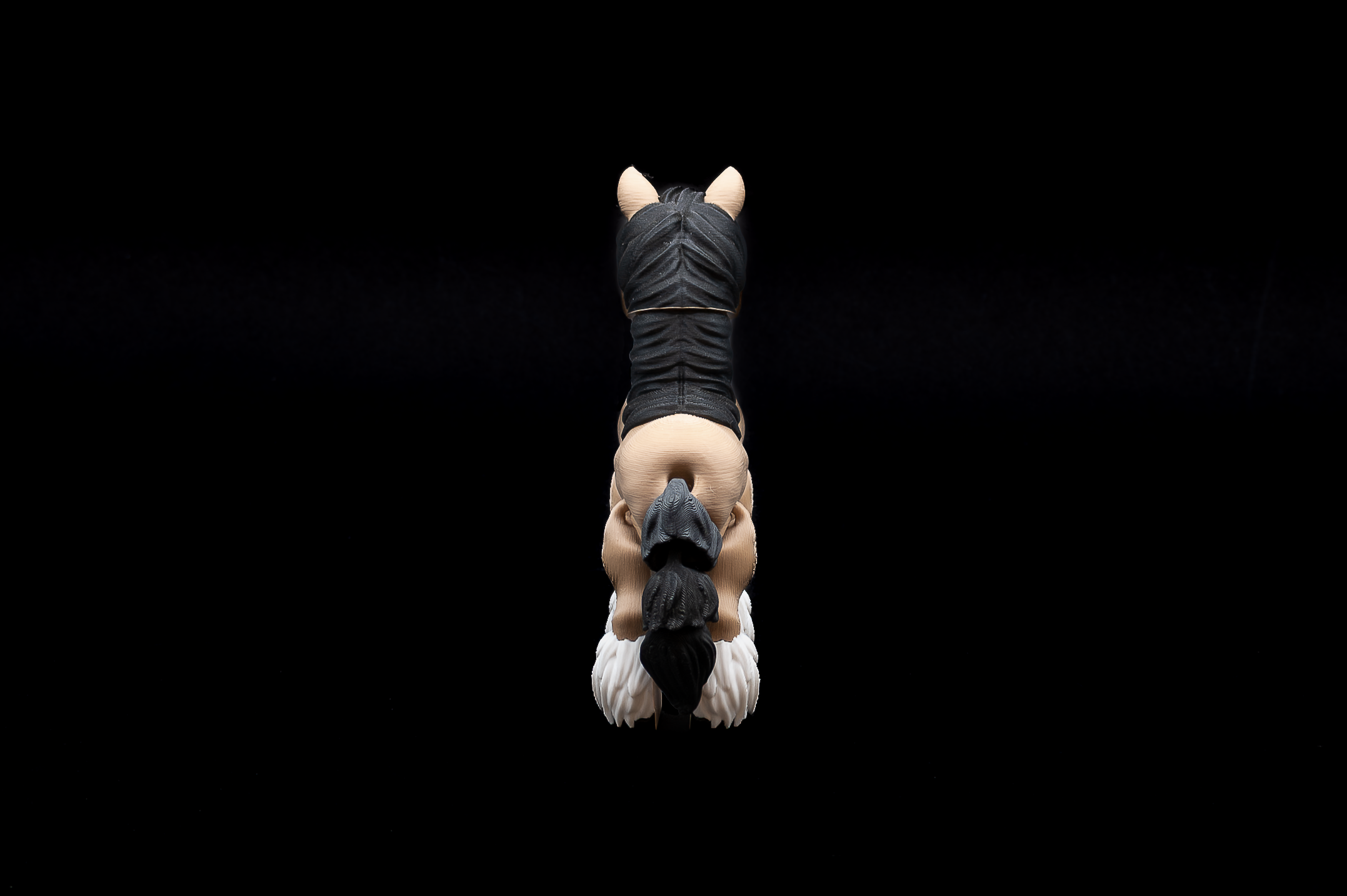 Clydesdale Horse (4 of 4).png