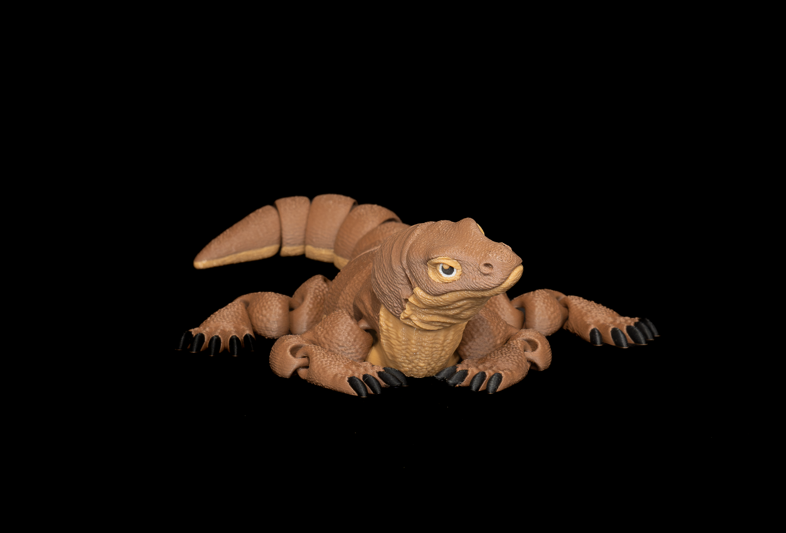 Komodo Dragon