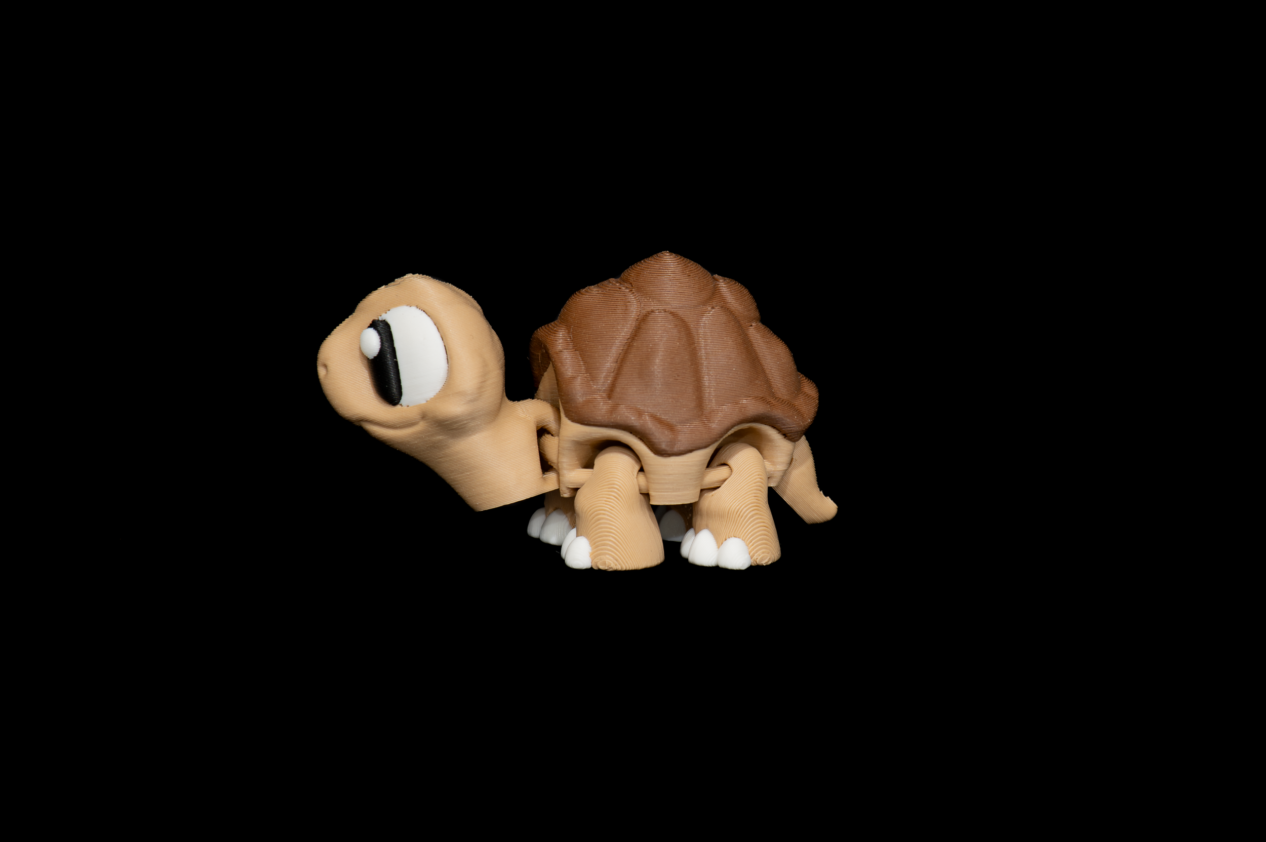 Tortoise (2 of 3).png