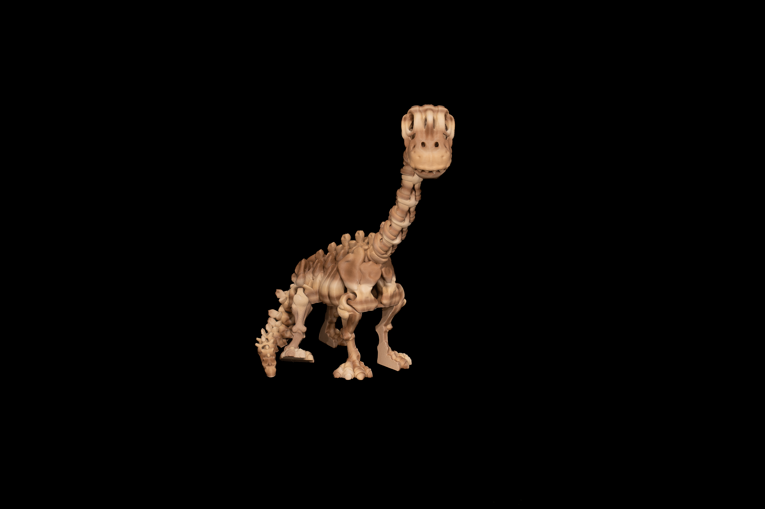 Skeleton Brachiosaurus (2 of 4).png