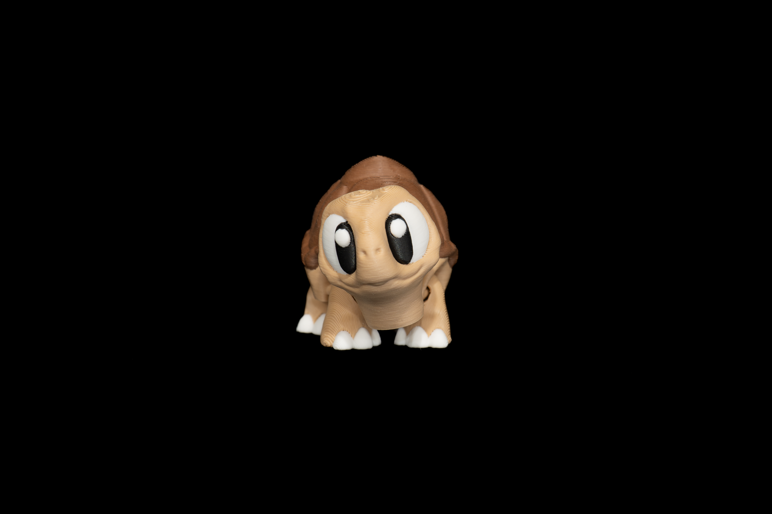 Tortoise (1 of 3).png