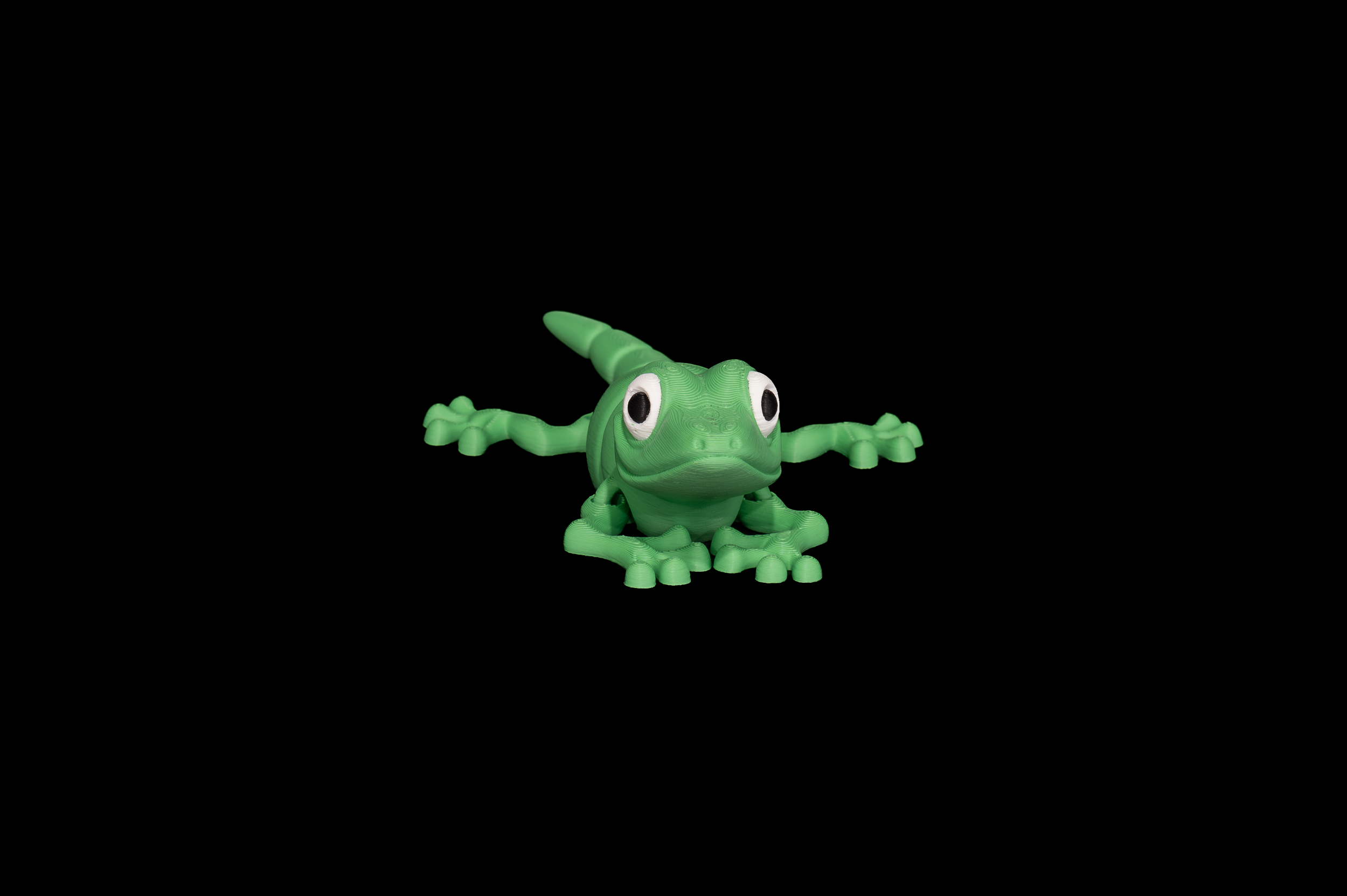 Gecko (3 of 3).png