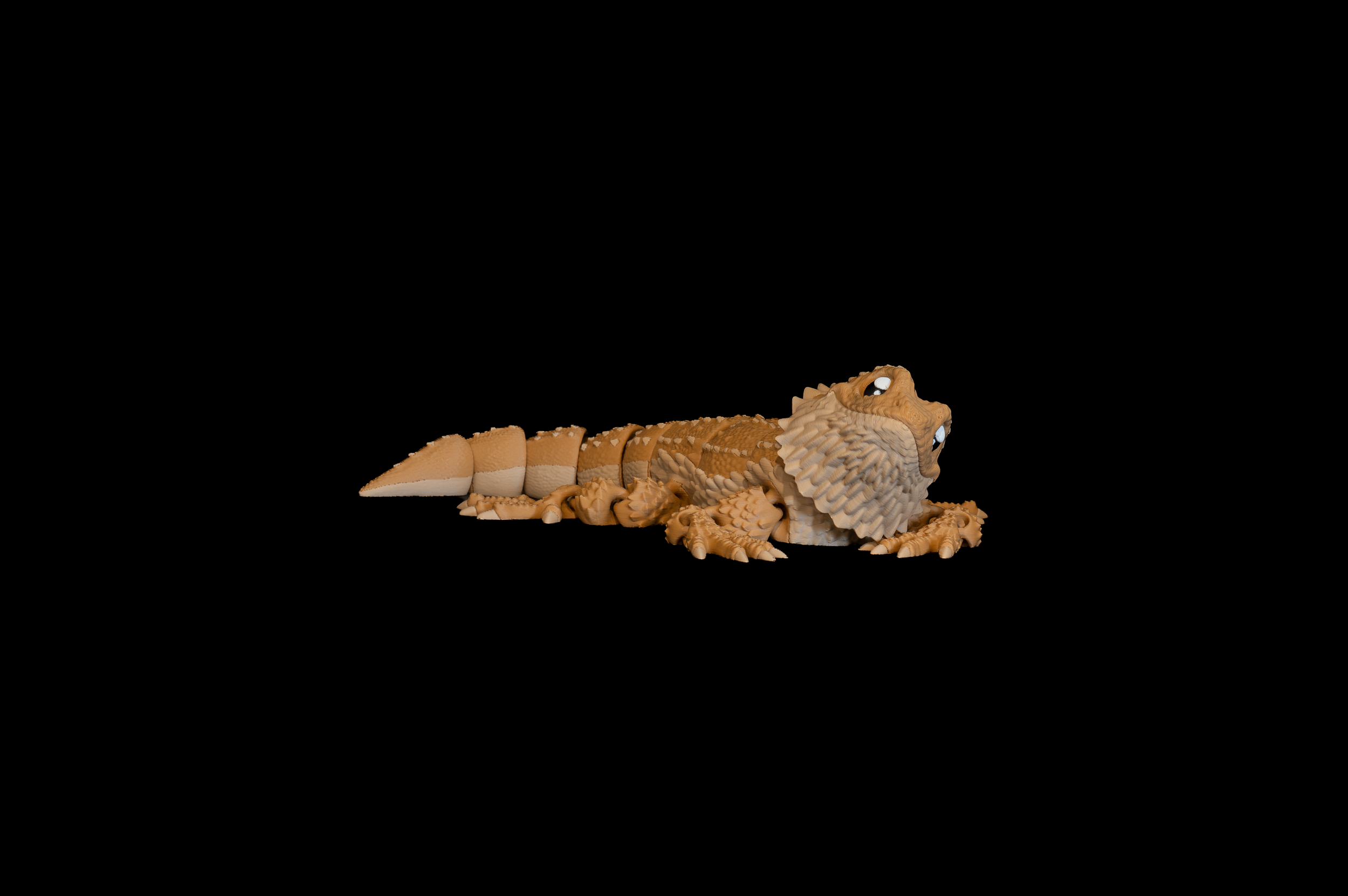 Bearded Dragon (2 of 4).png