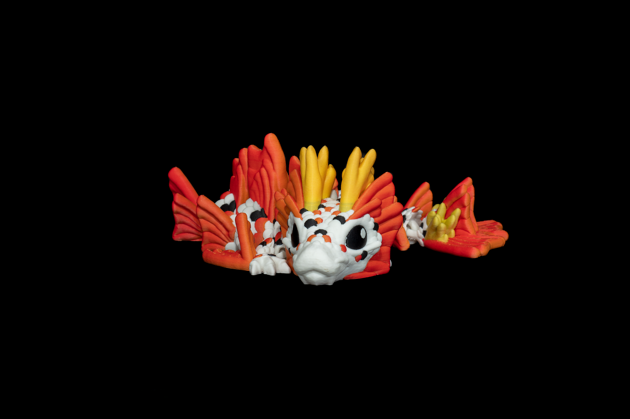 Koi Dragon