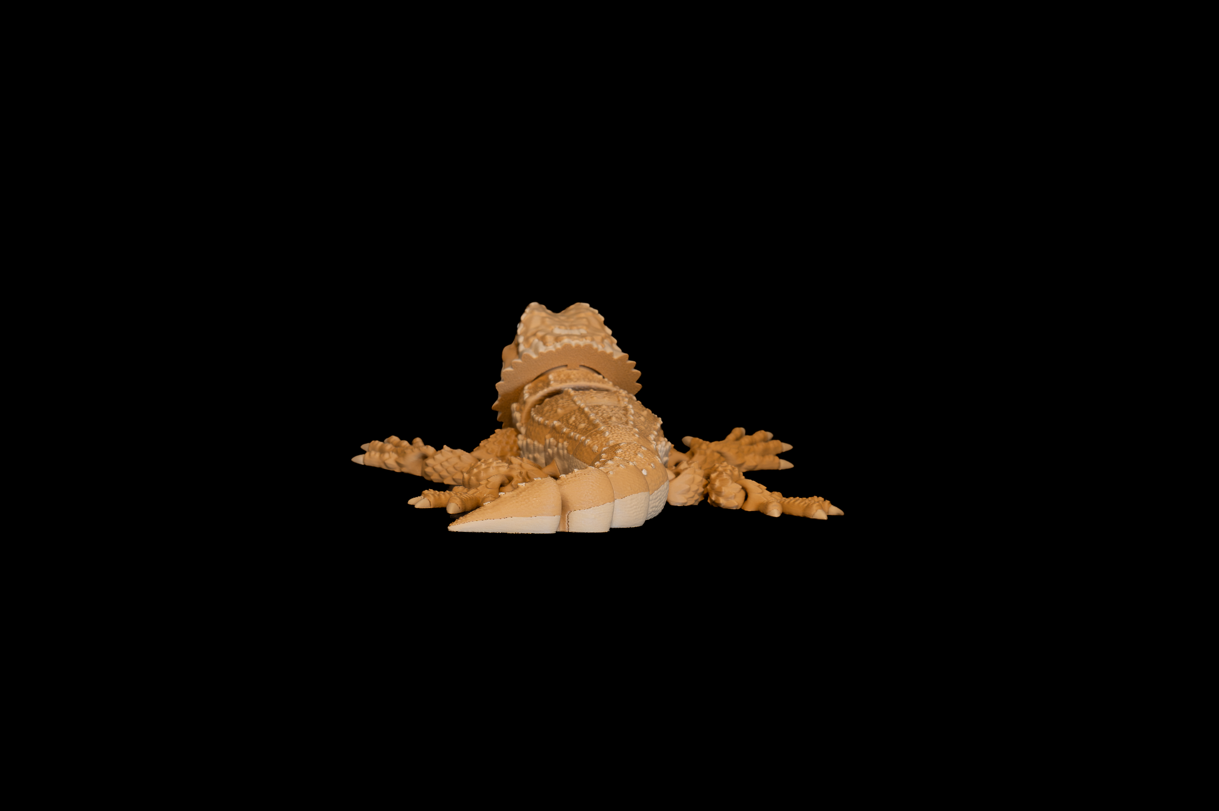 Bearded Dragon (4 of 4).png
