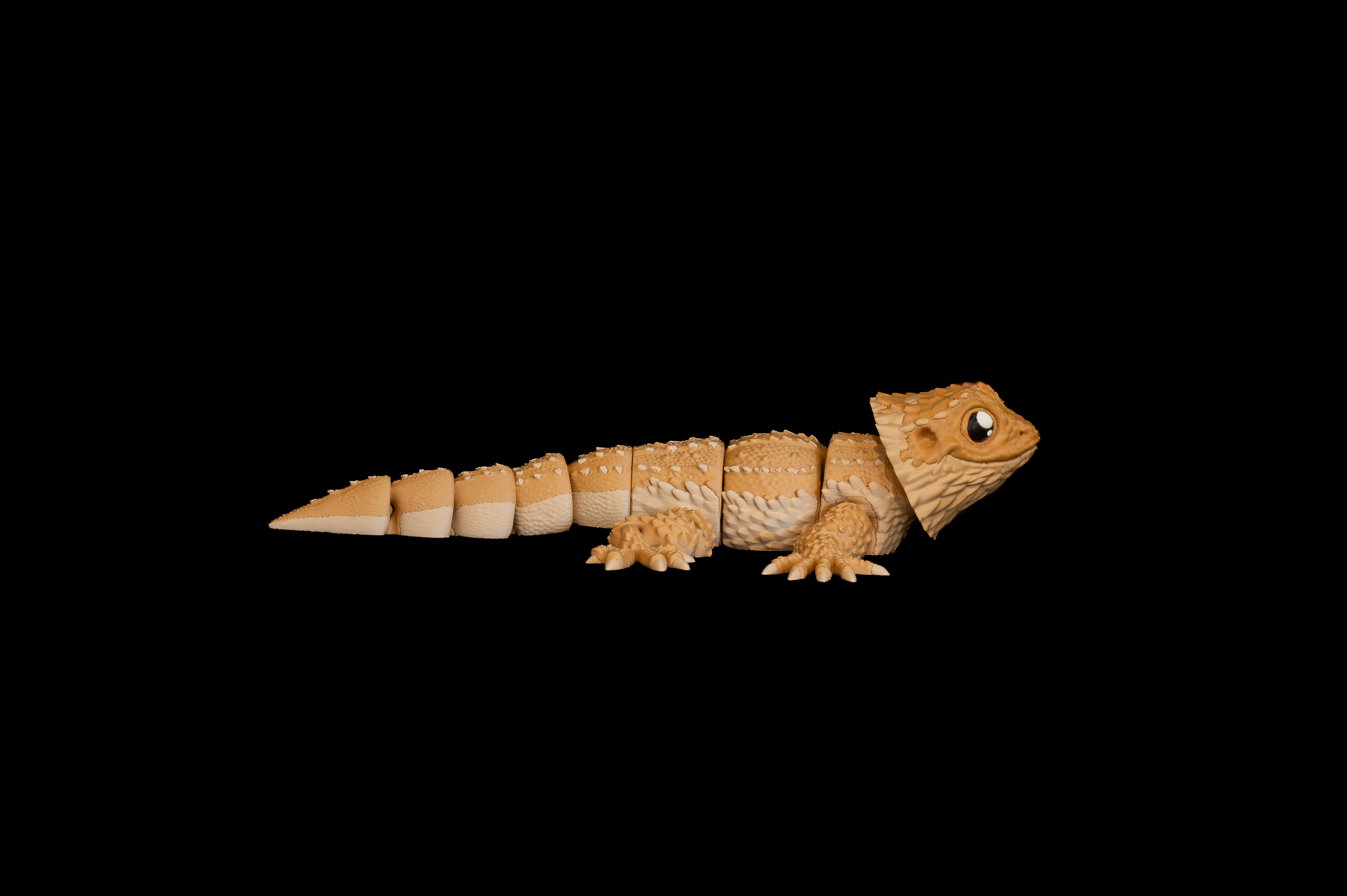 Bearded Dragon (3 of 4).png