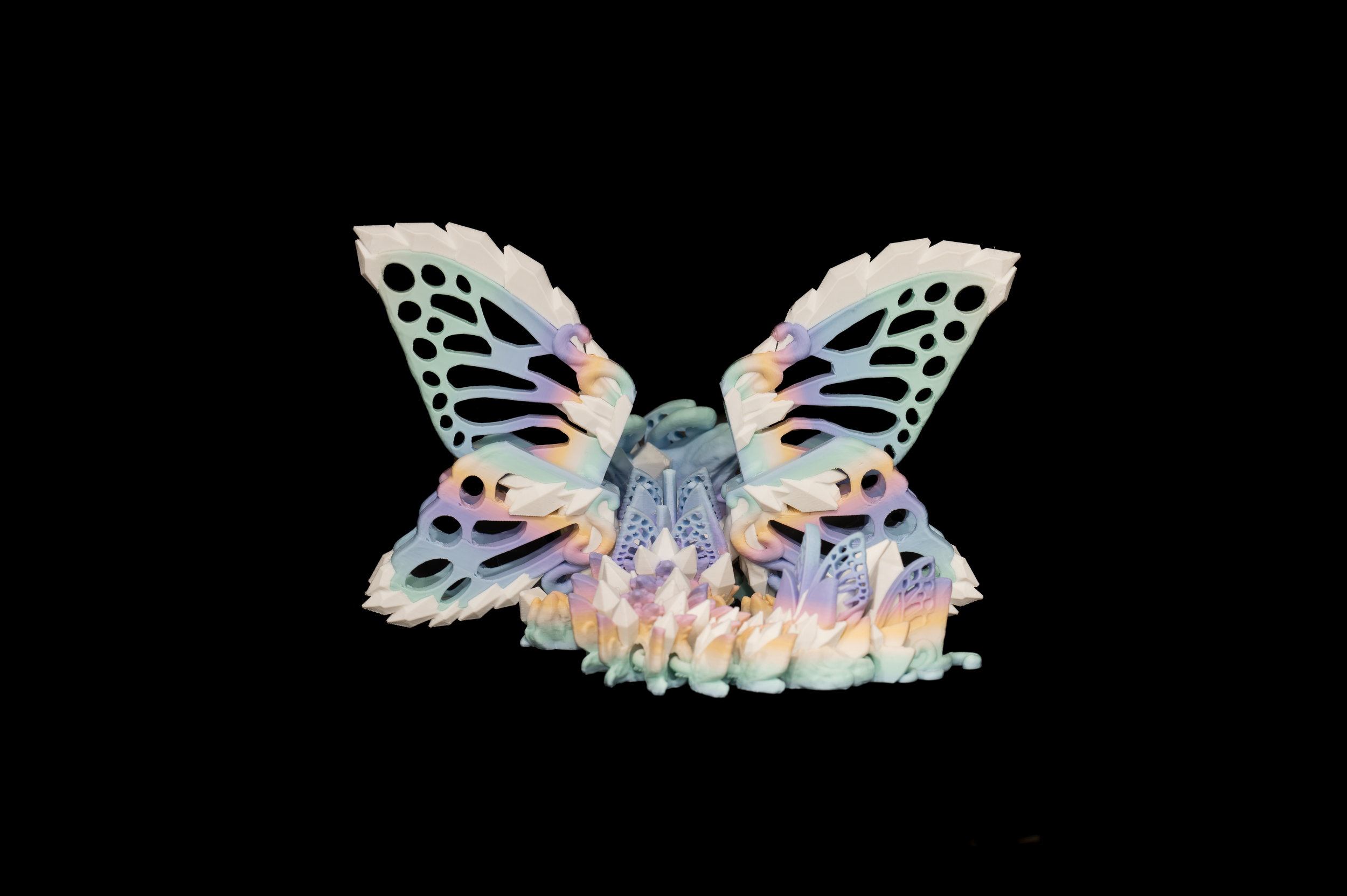Baby Fae Wolf Dragon, Open Wing (2 of 2).png