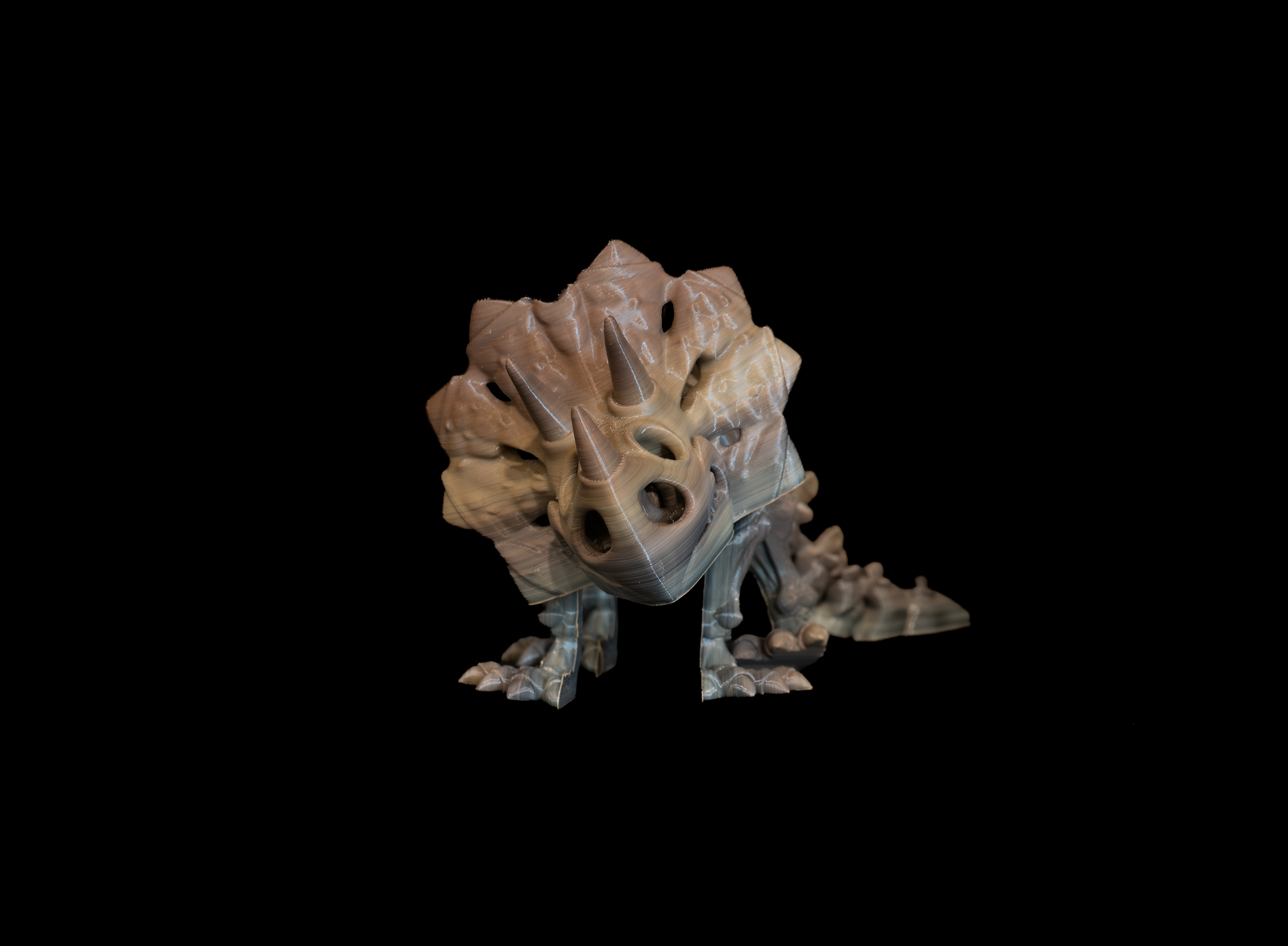 Skeleton Triceratops