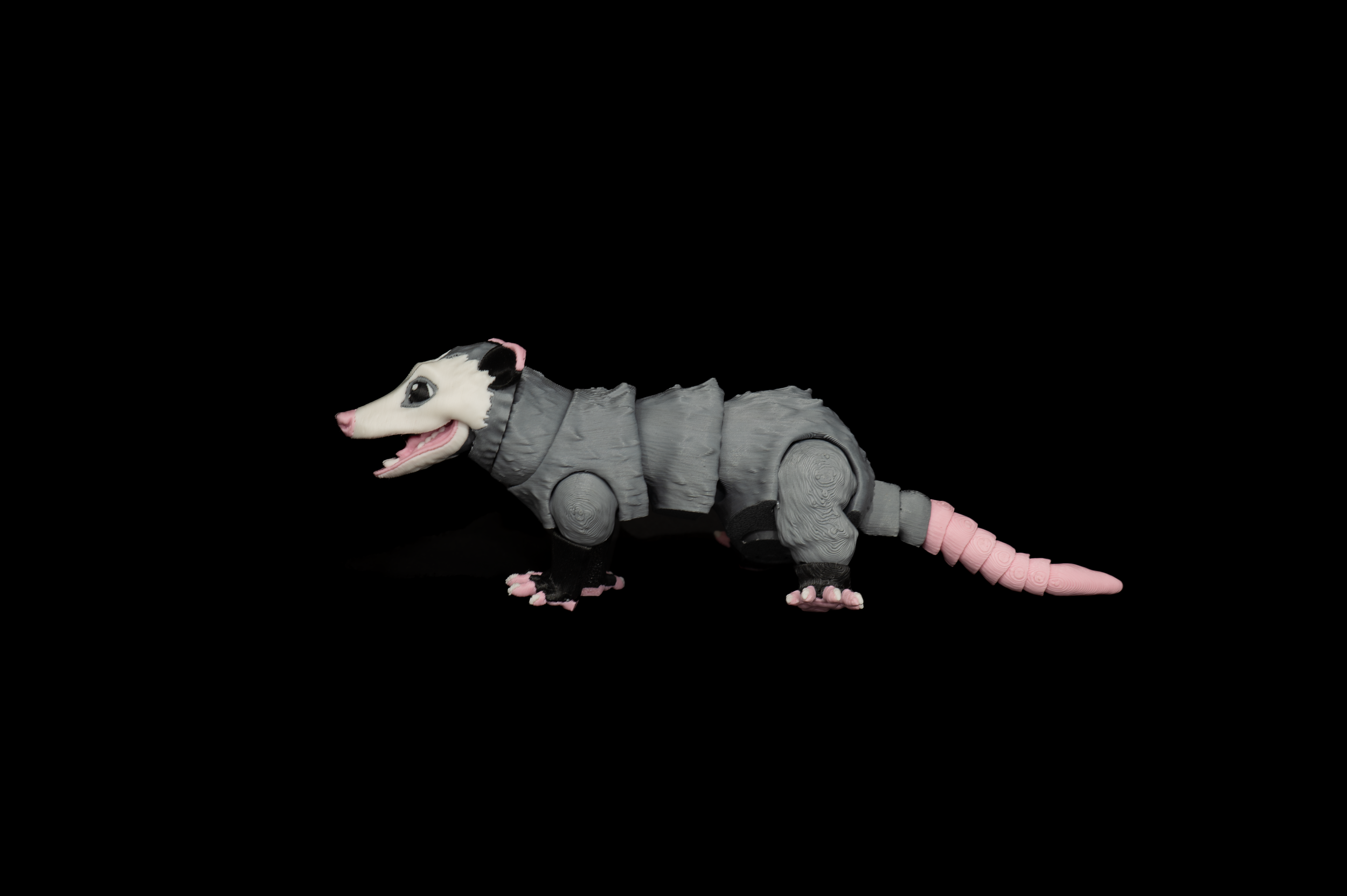 Opossum (2 of 4).png