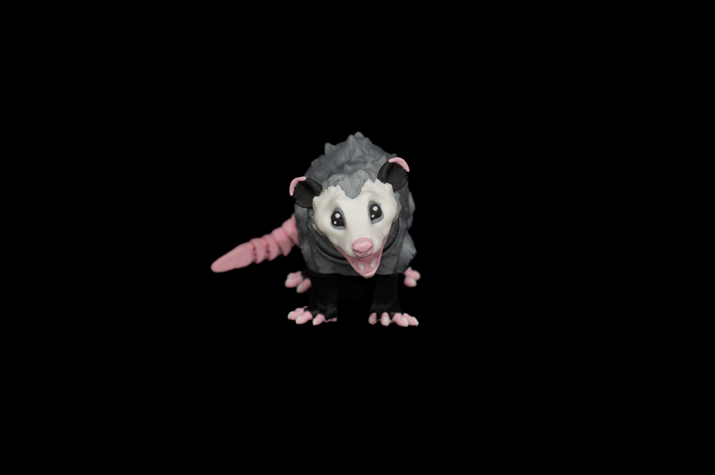 Opossum