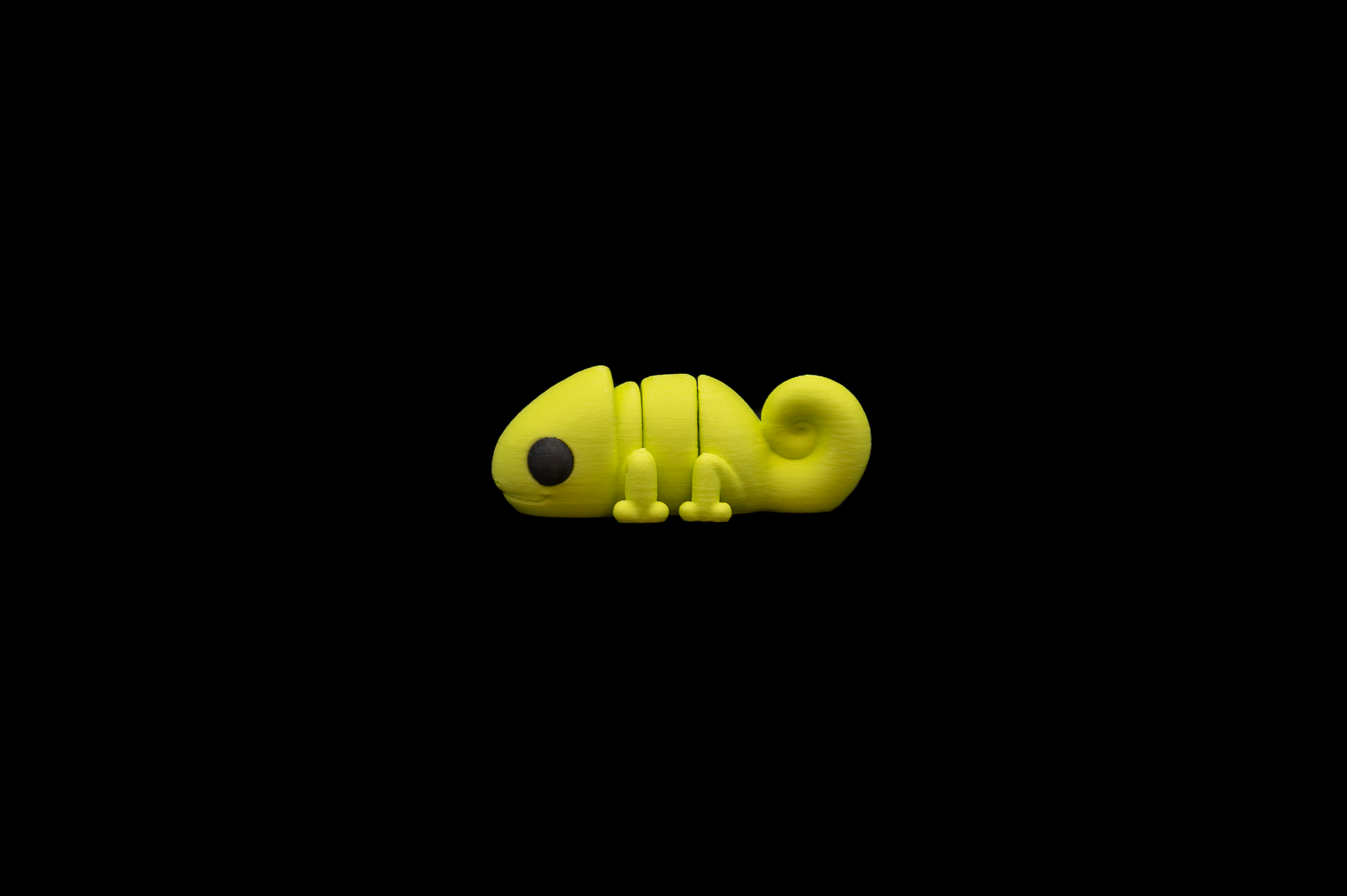 Baby Chameleon (2 of 4).png