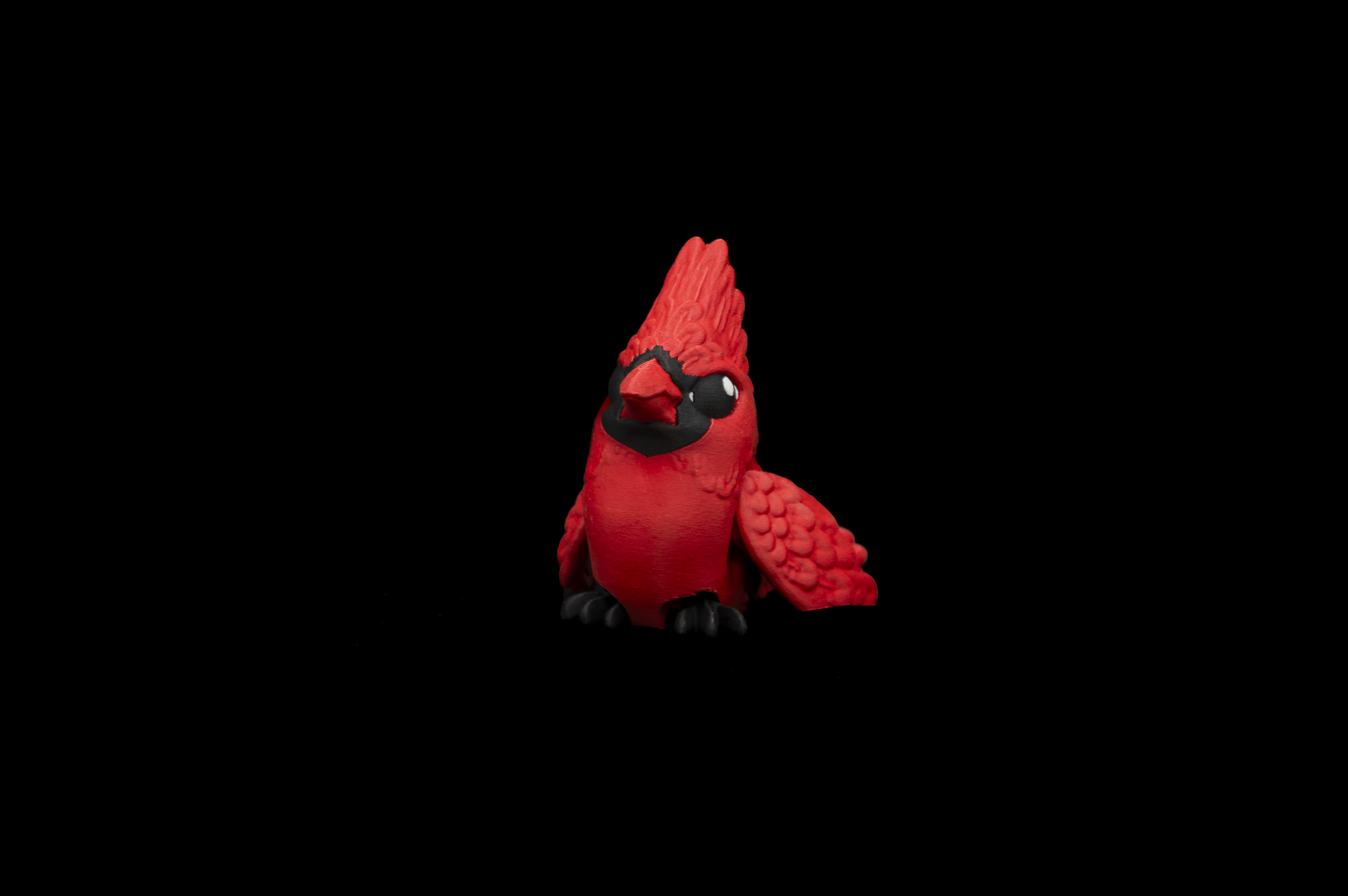 Cardinal LG (1 of 4).png
