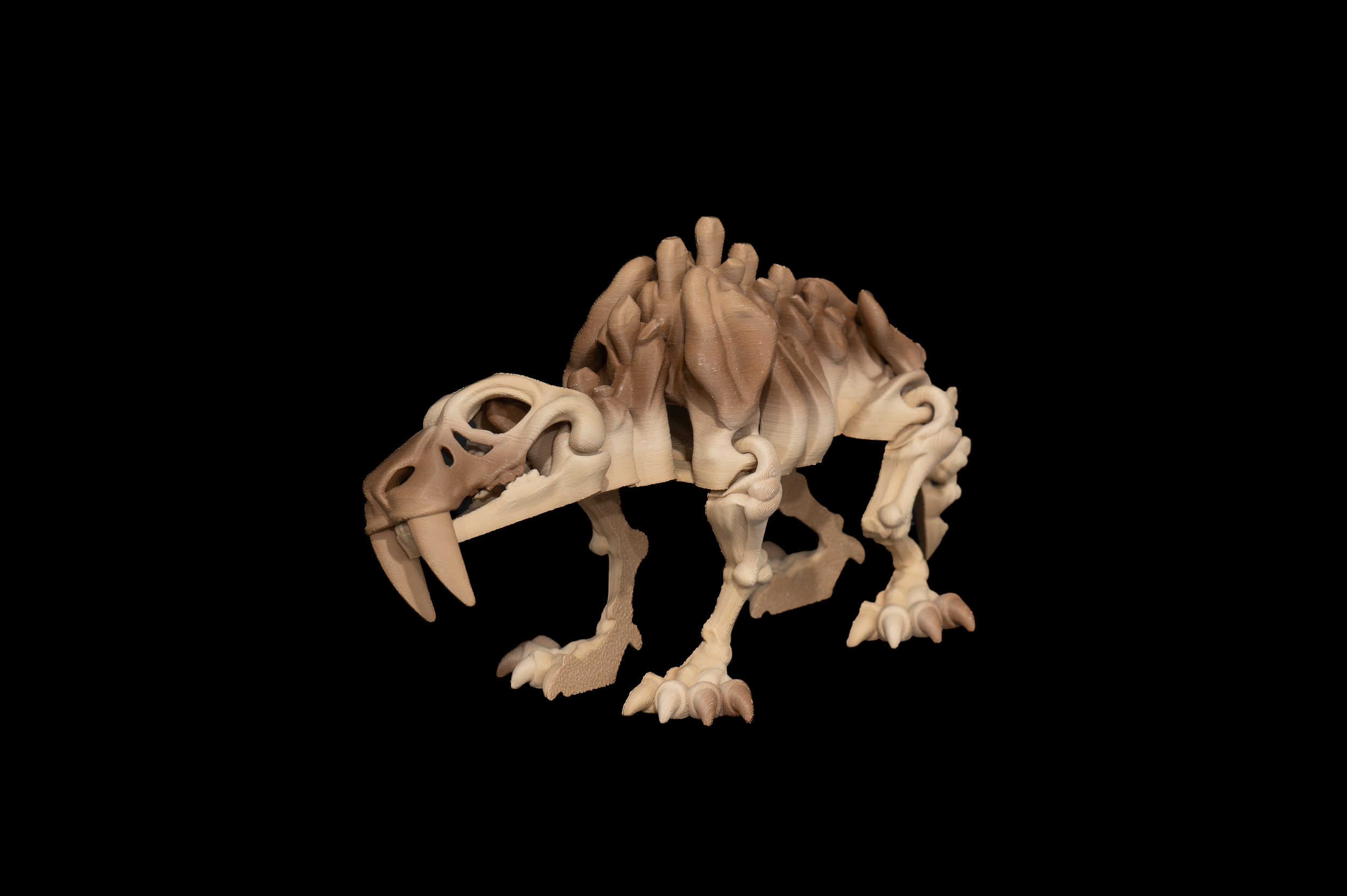 Skeleton Saber Tooth Tiger