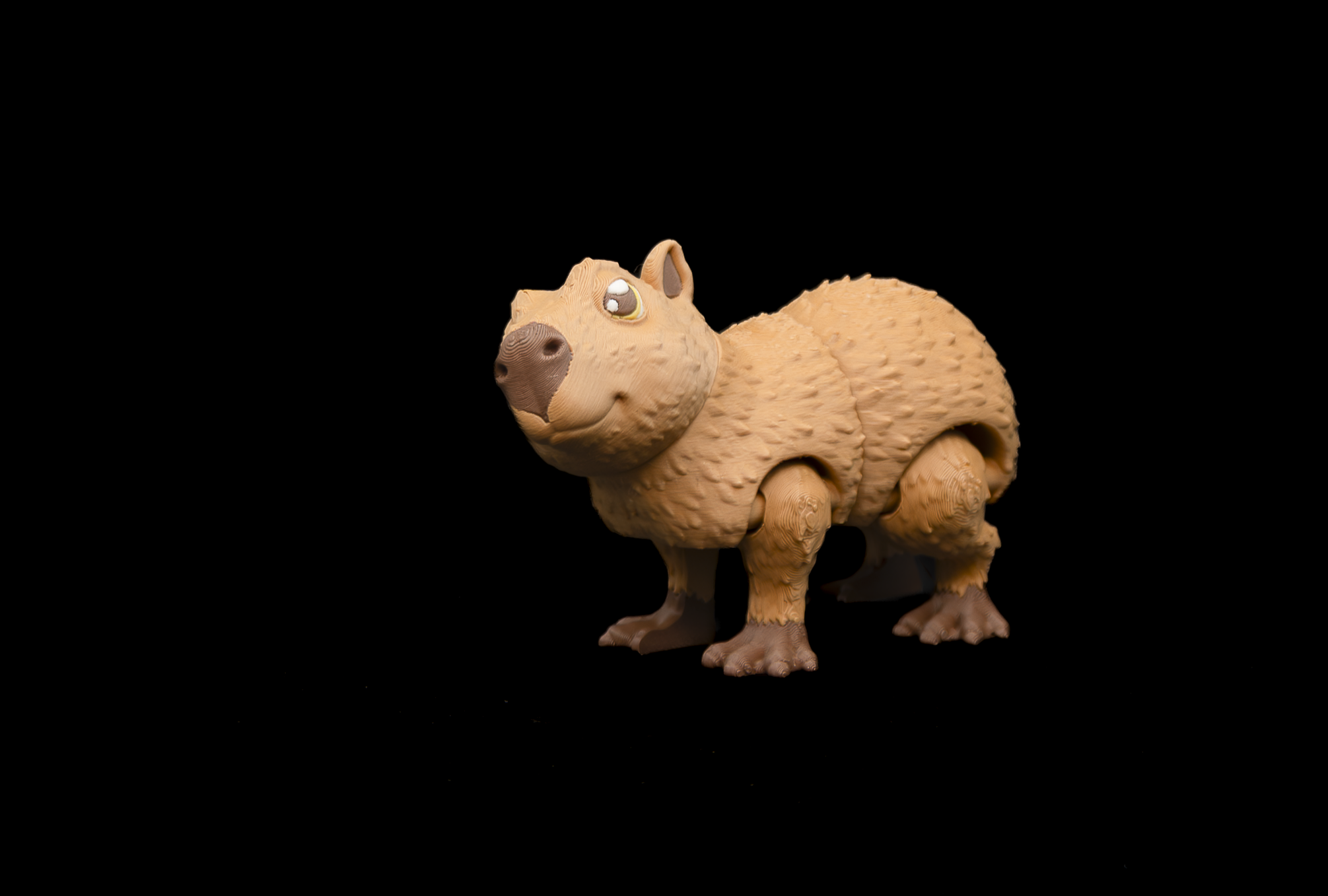Capybara (1 of 3)-2.png