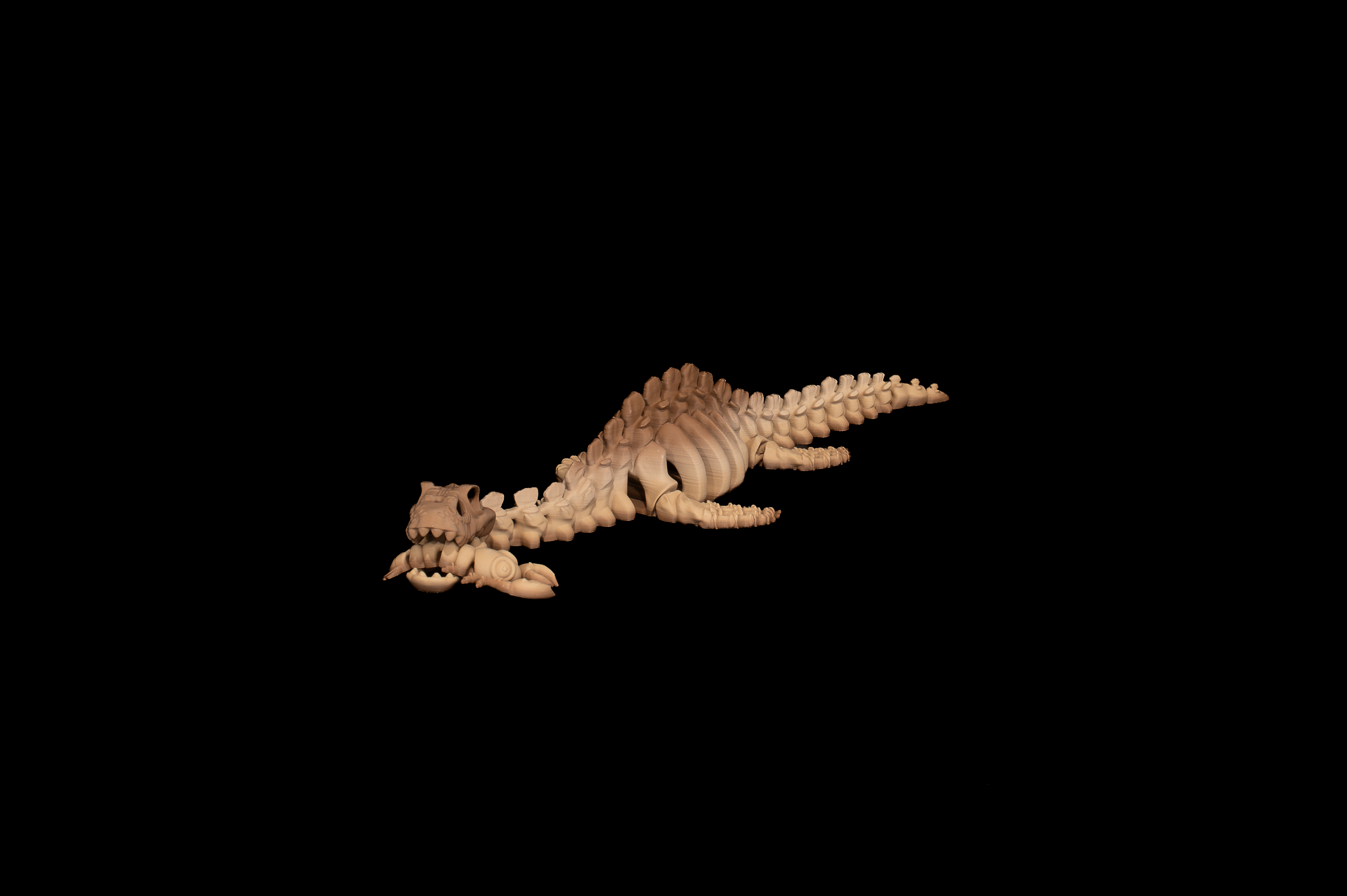 Skeleton Plesiosaurus (2 of 4).png