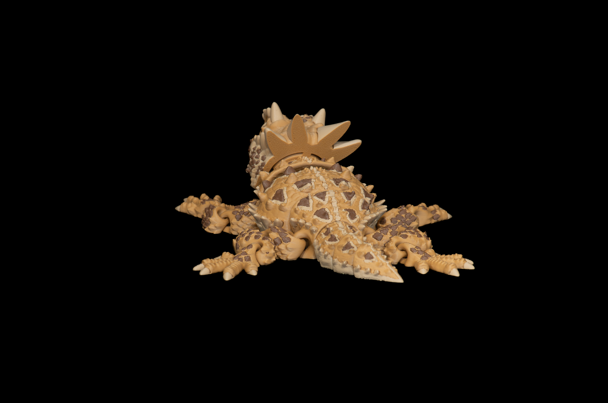 Horned Lizard (3 of 3).png