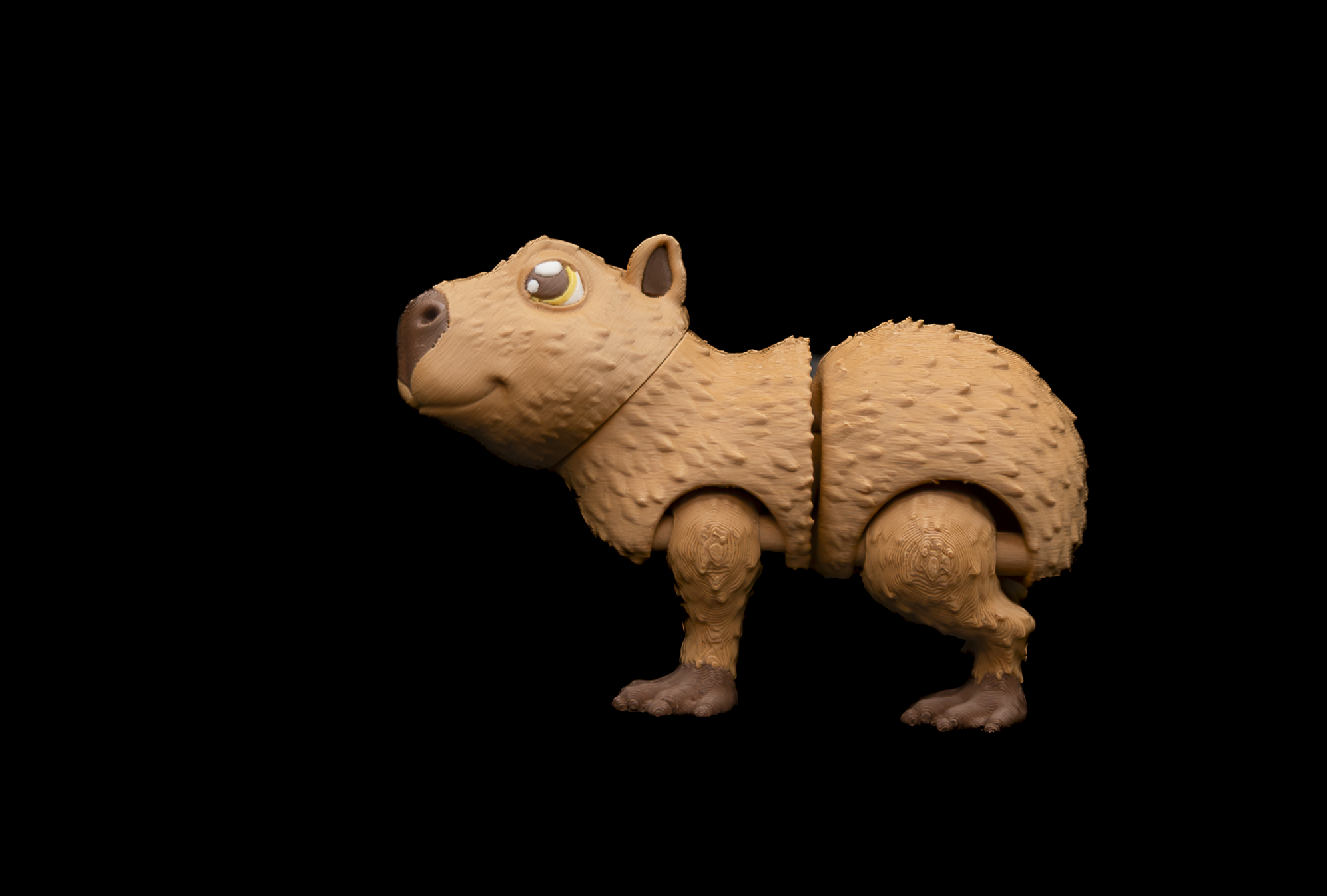Capybara (3 of 3)-2.png