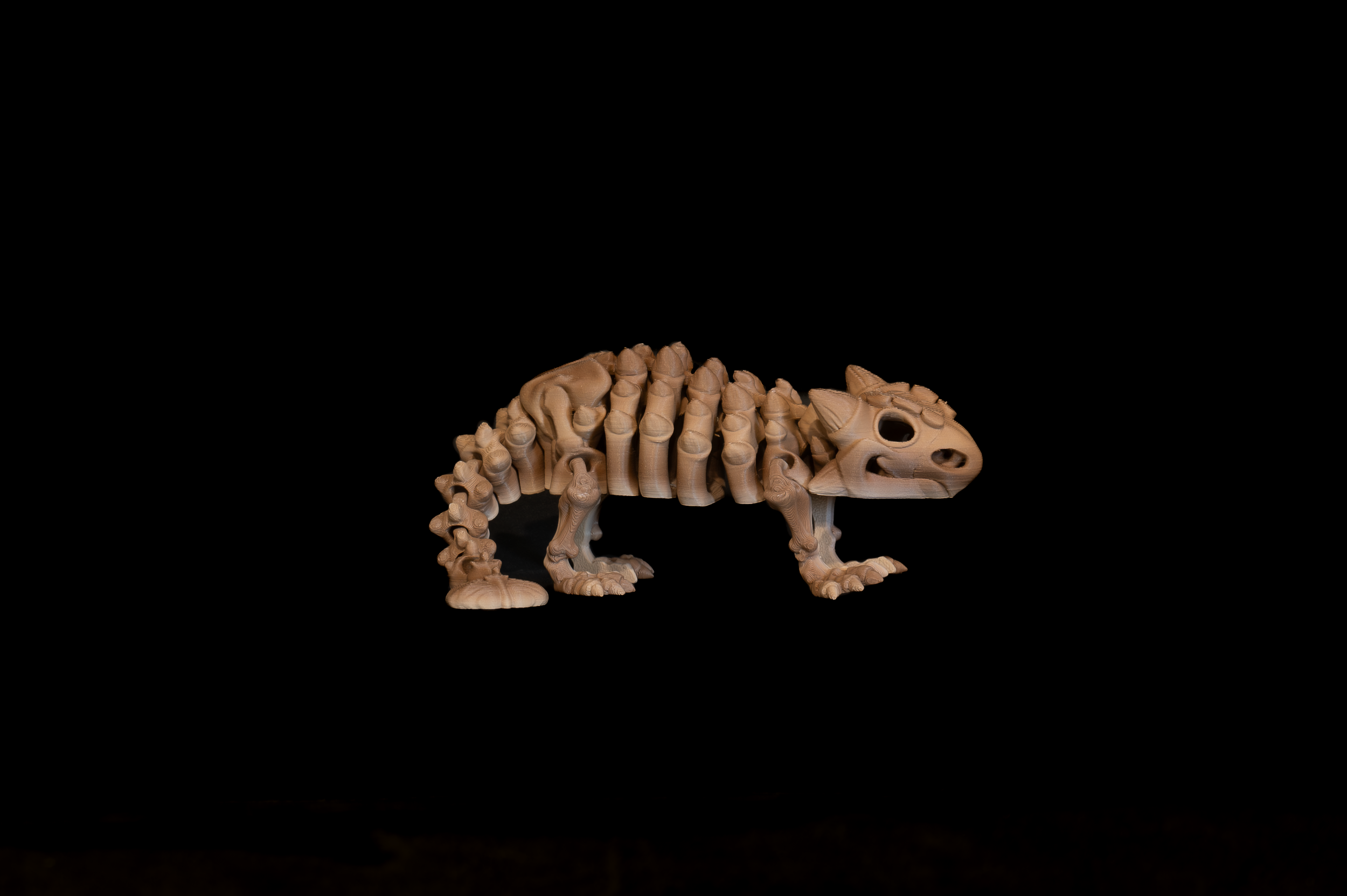 Ankylosaurus (2 of 3).png